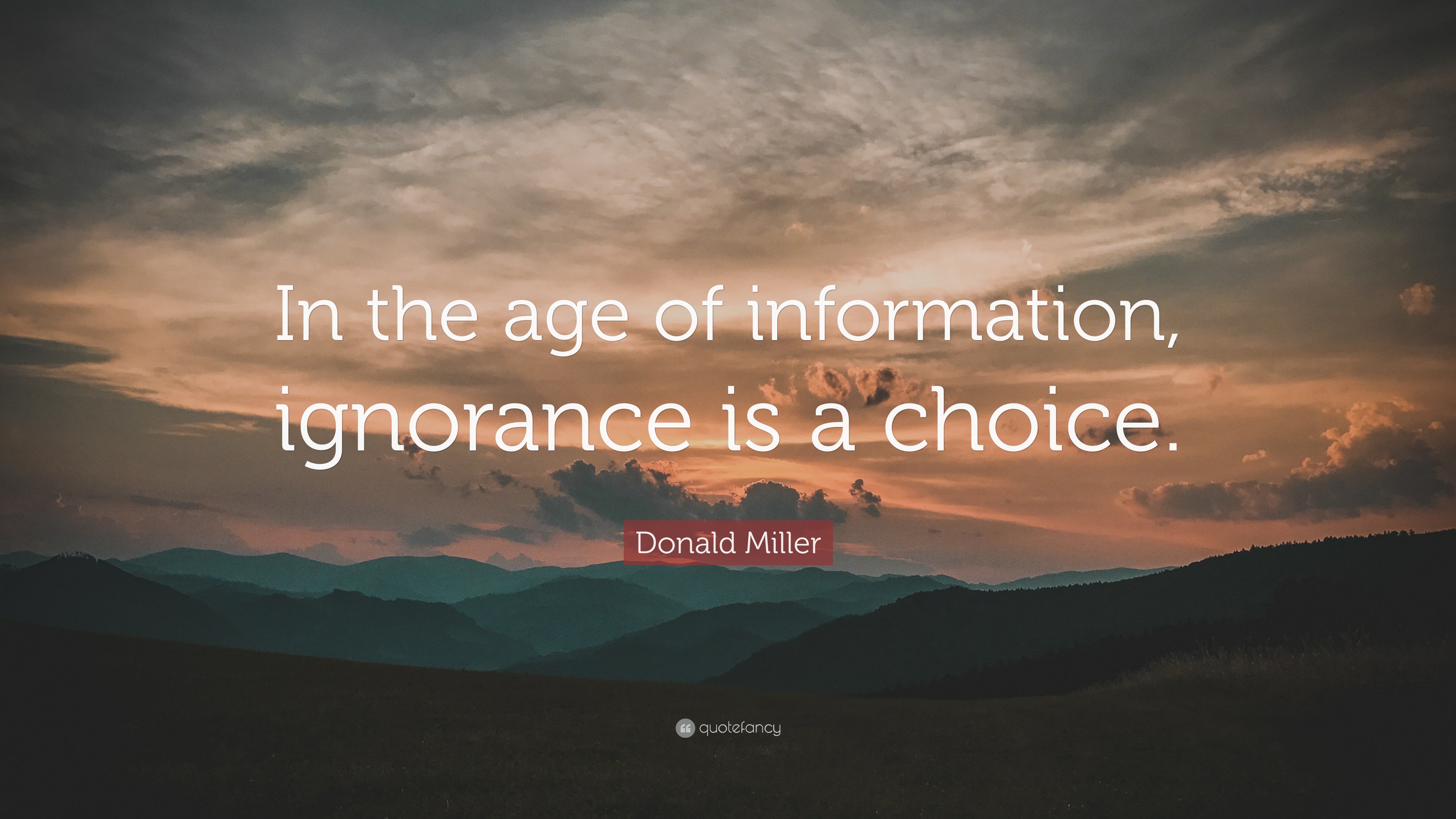 Donald Miller Quote: “In the age of information, ignorance is a choice.”