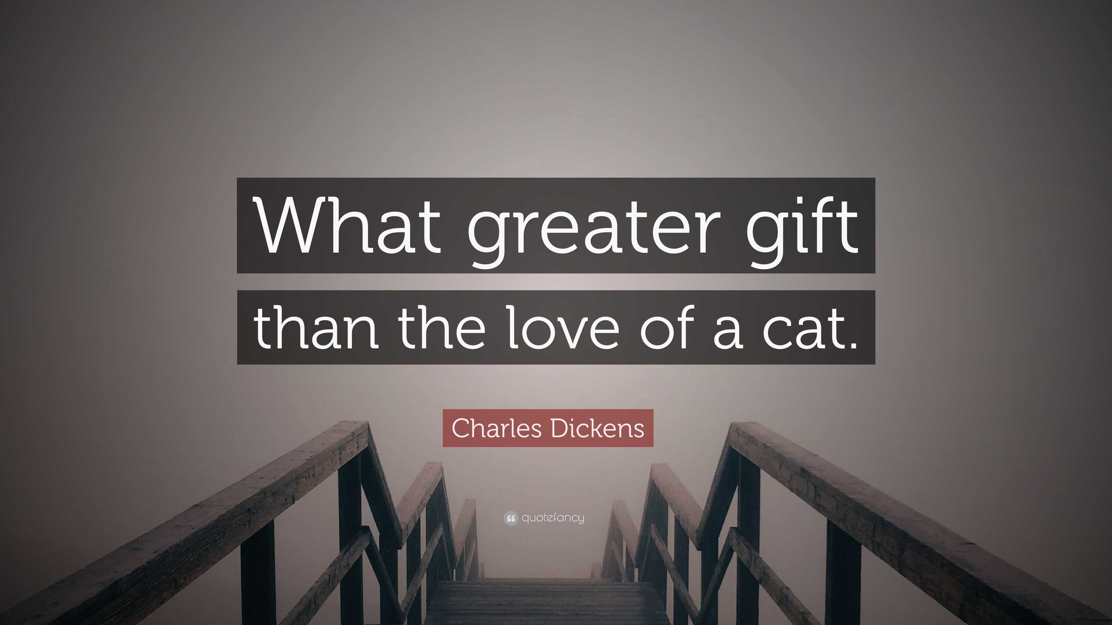 Charles Dickens Quote What Greater Gift Than The Love Of A Cat