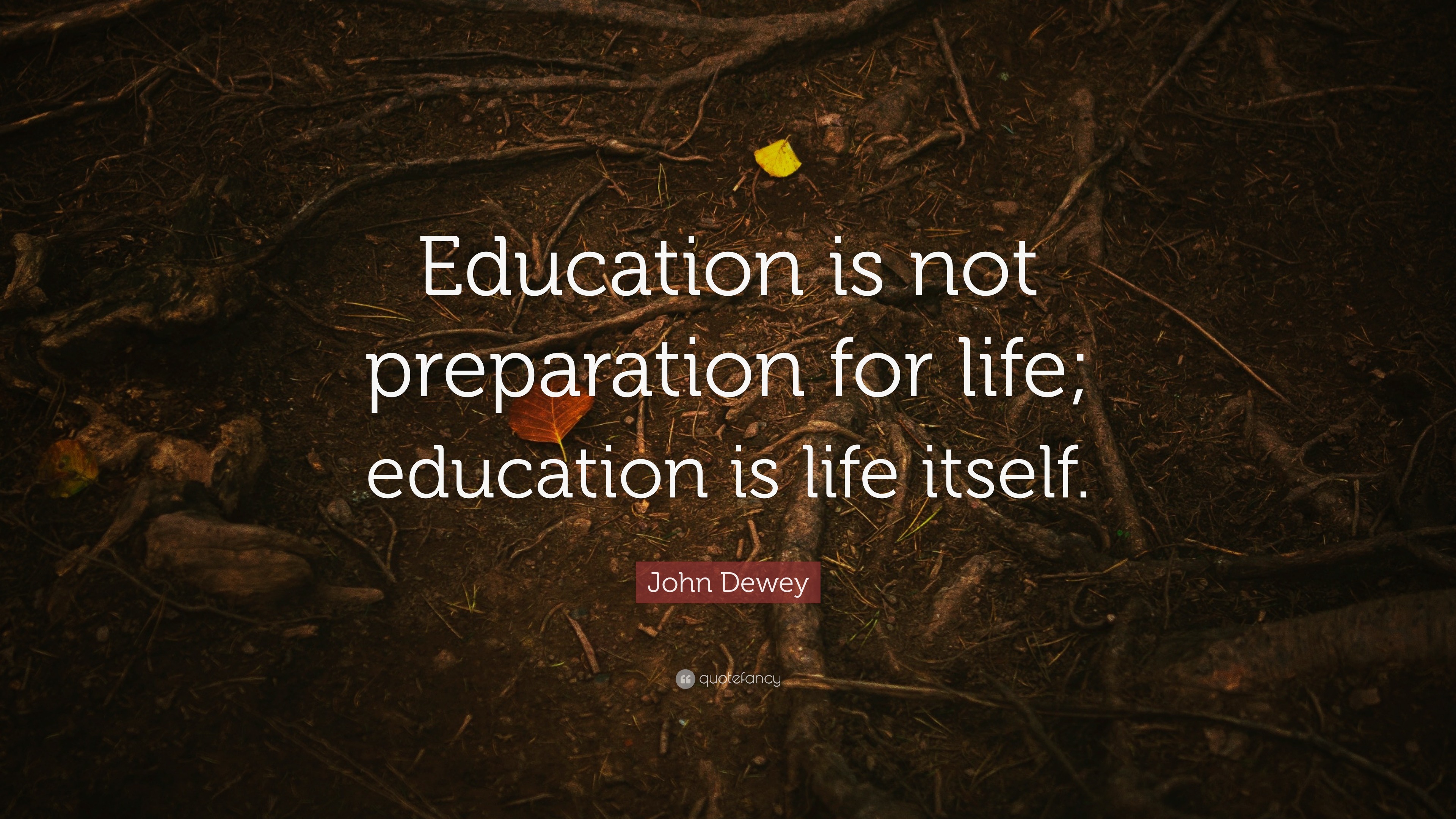 history of education quotes