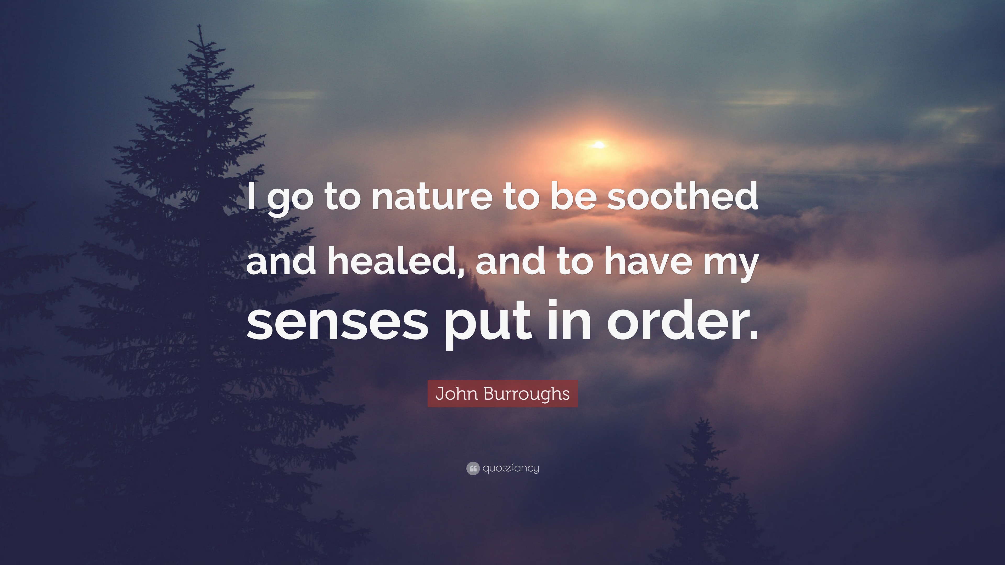 John Burroughs Quote: “I go to nature to be soothed and healed, and to ...