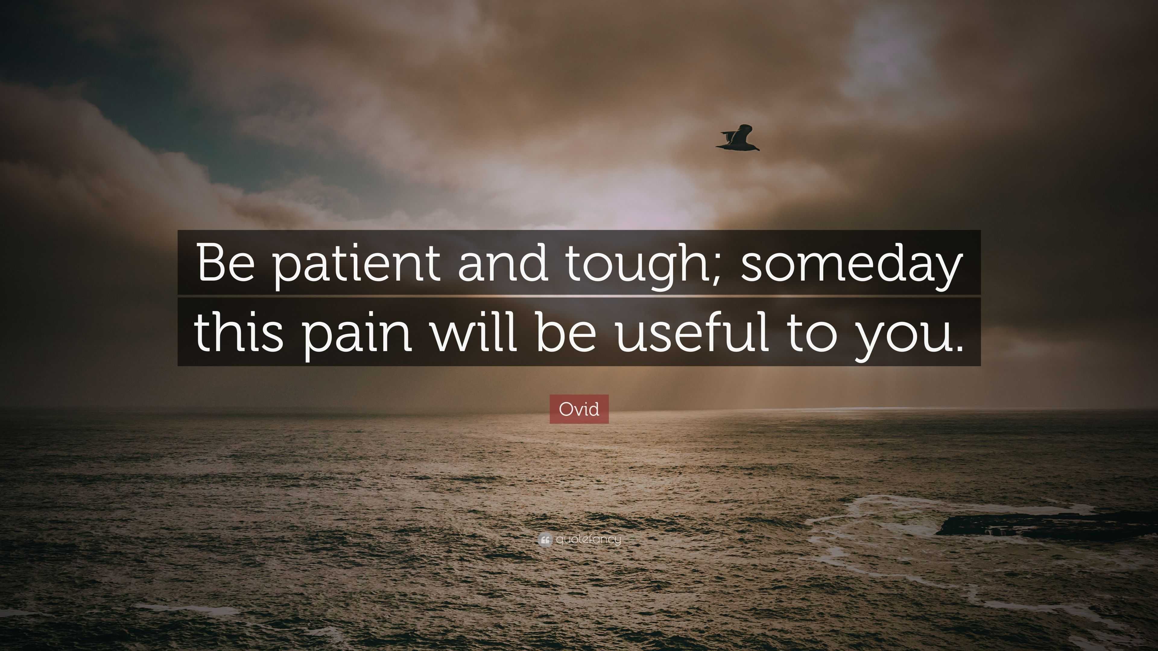 Ovid Quote: “Be patient and tough; someday this pain will be useful to ...