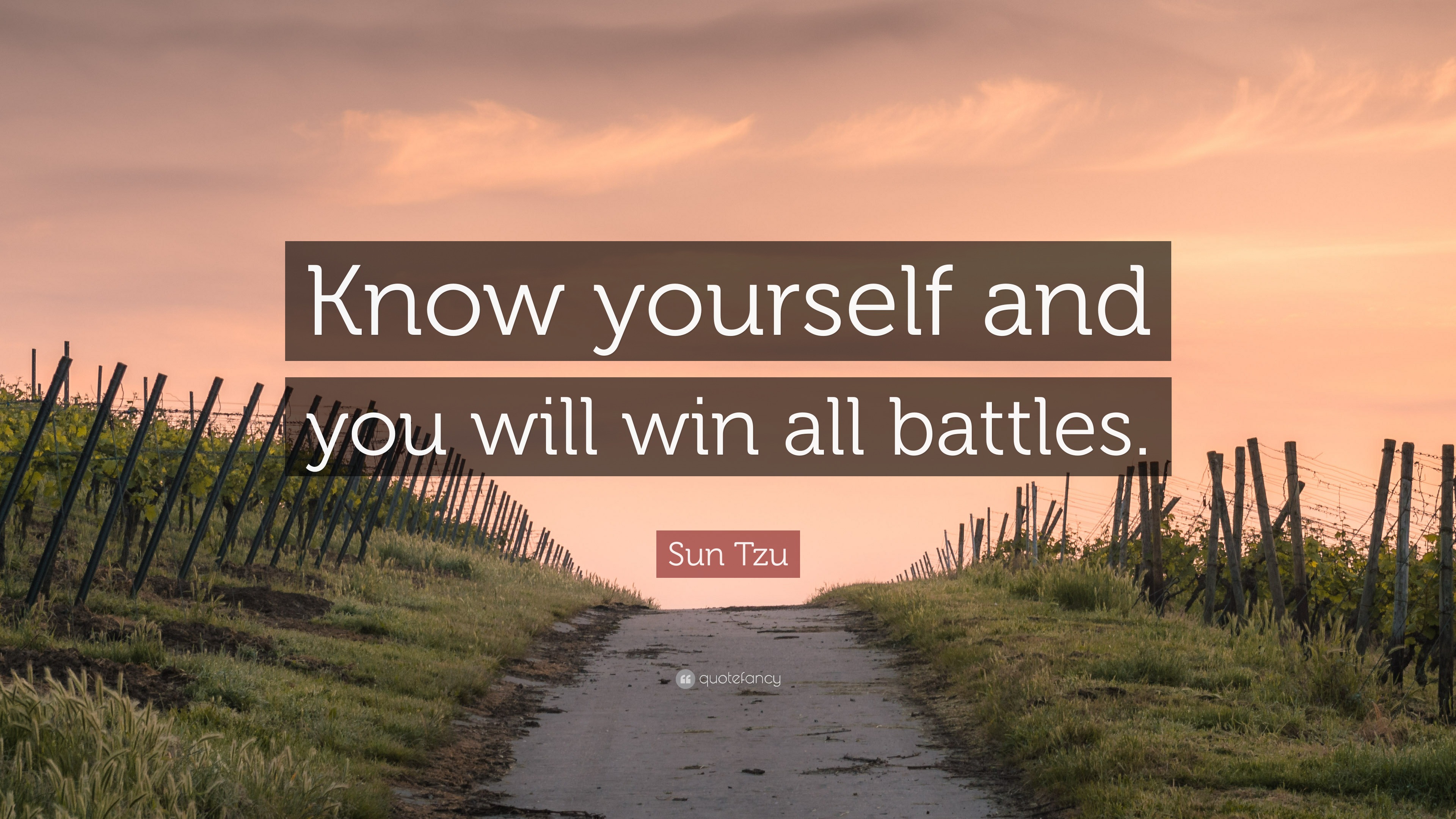 Sun Tzu Quote: “Know yourself and you will win all battles.” (12