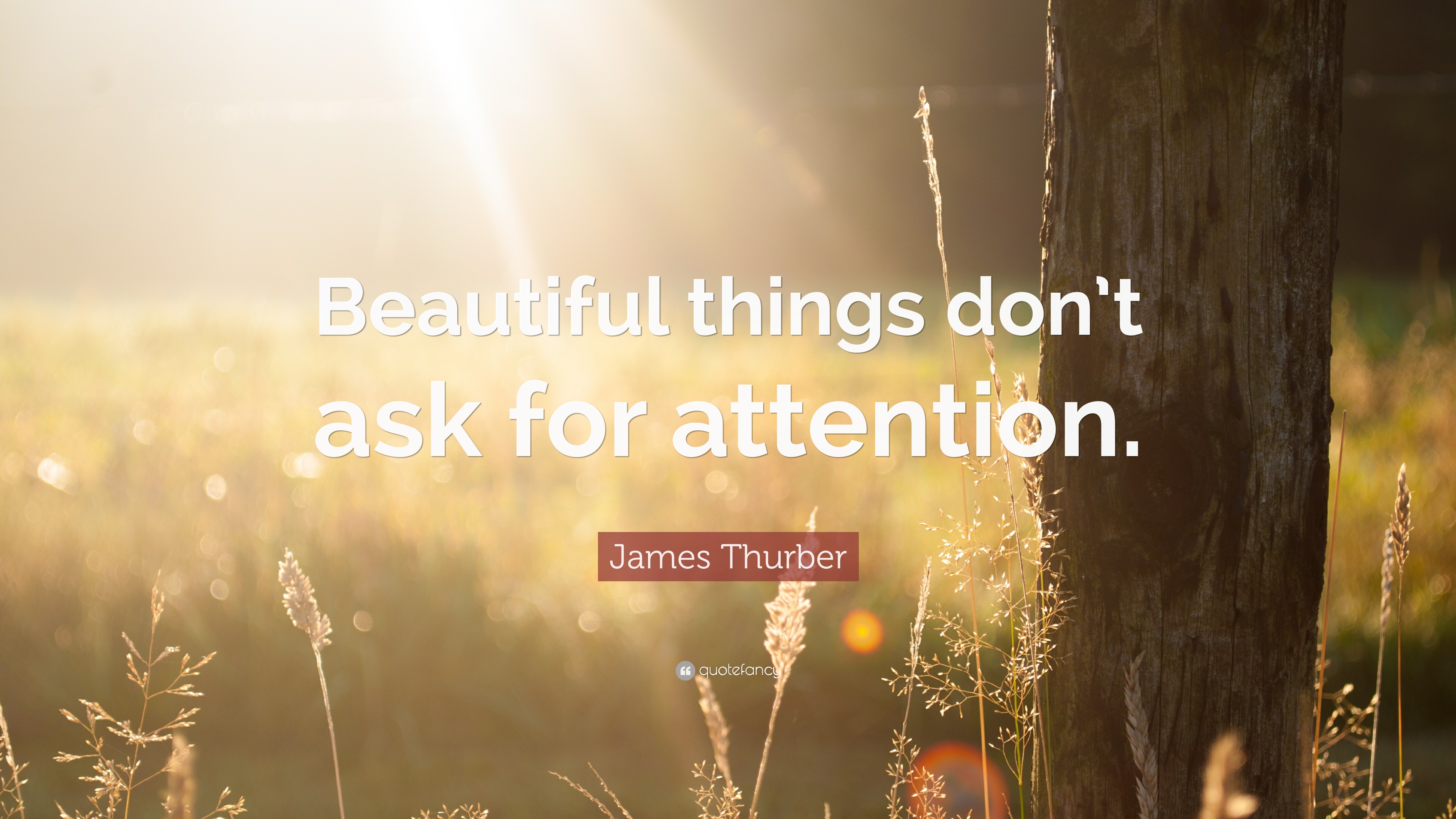 James Thurber Quote “Beautiful things don’t ask for