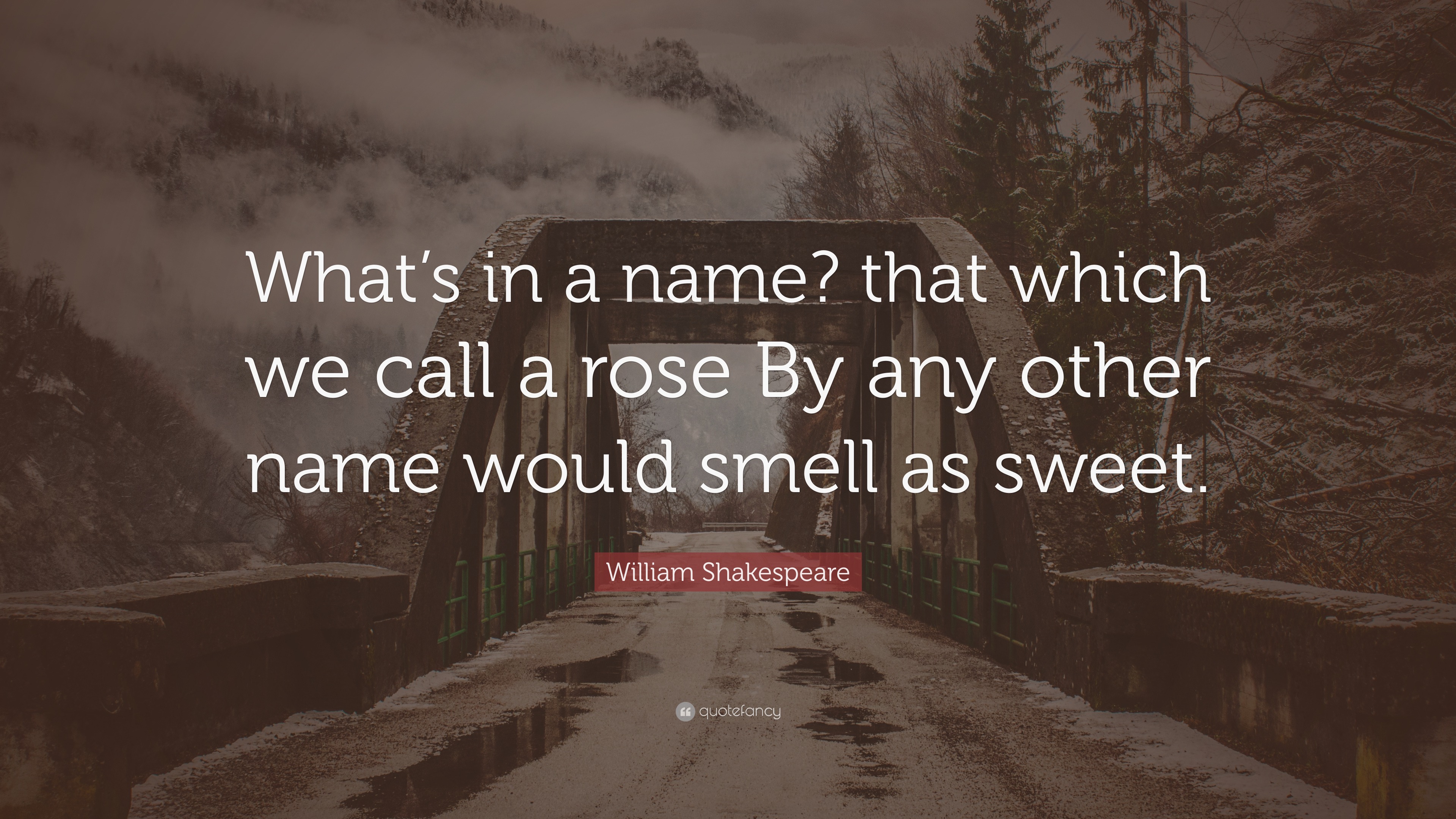 william-shakespeare-quote-what-s-in-a-name-that-which-we-call-a-rose