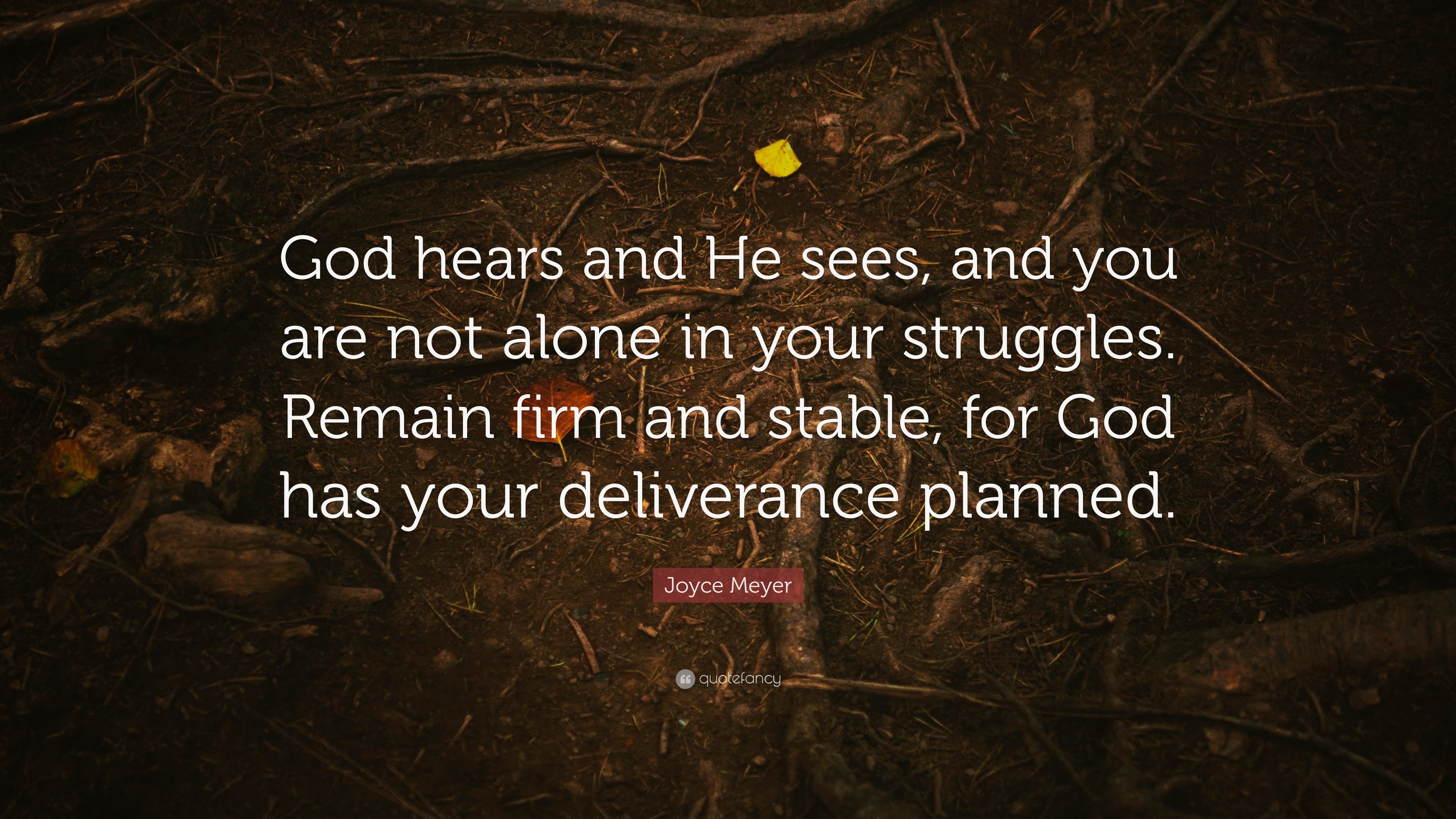 Joyce Meyer Quote: “God hears and He sees, and you are not alone in ...