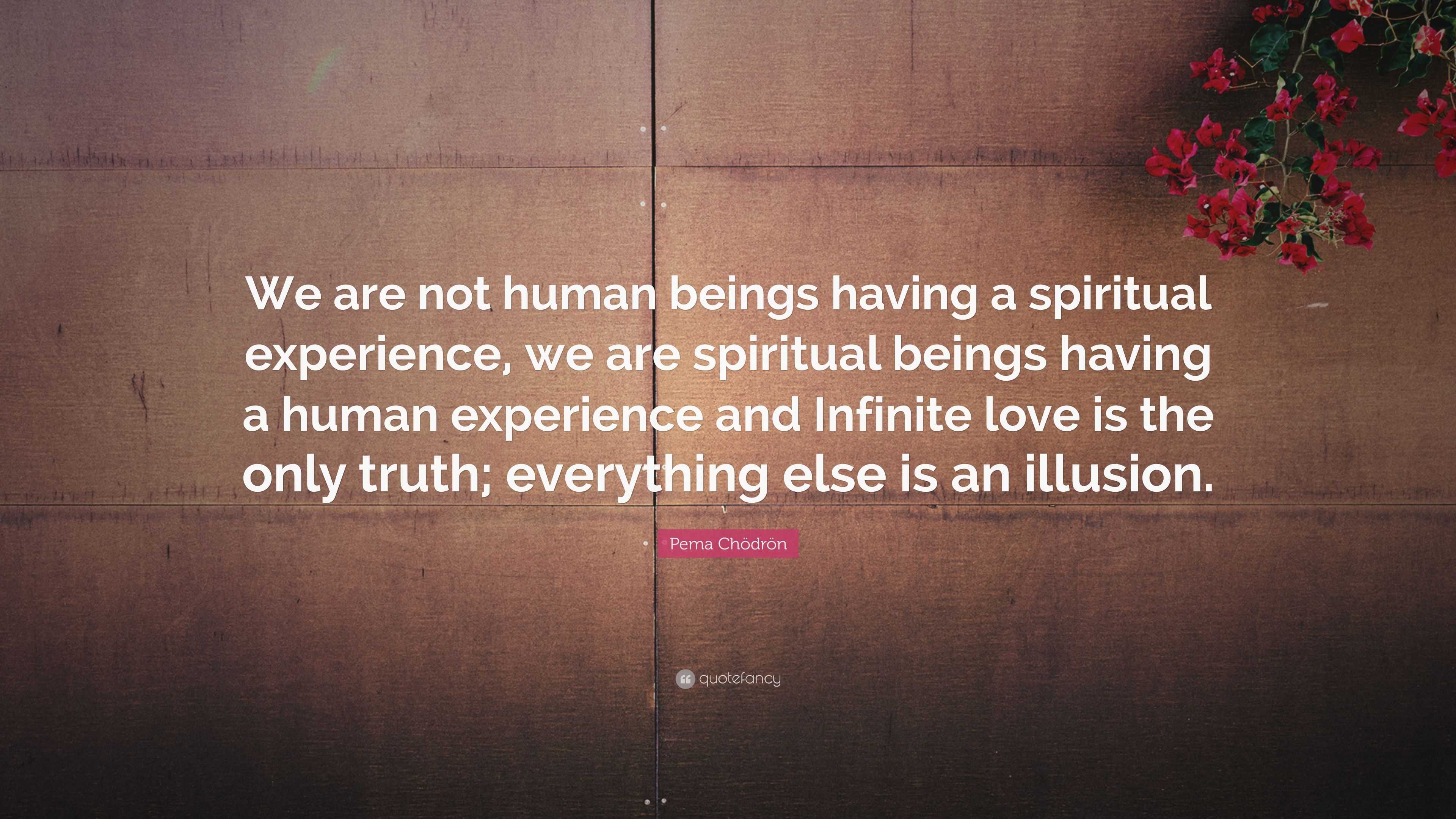 Pema Chödrön Quote “we Are Not Human Beings Having A Spiritual