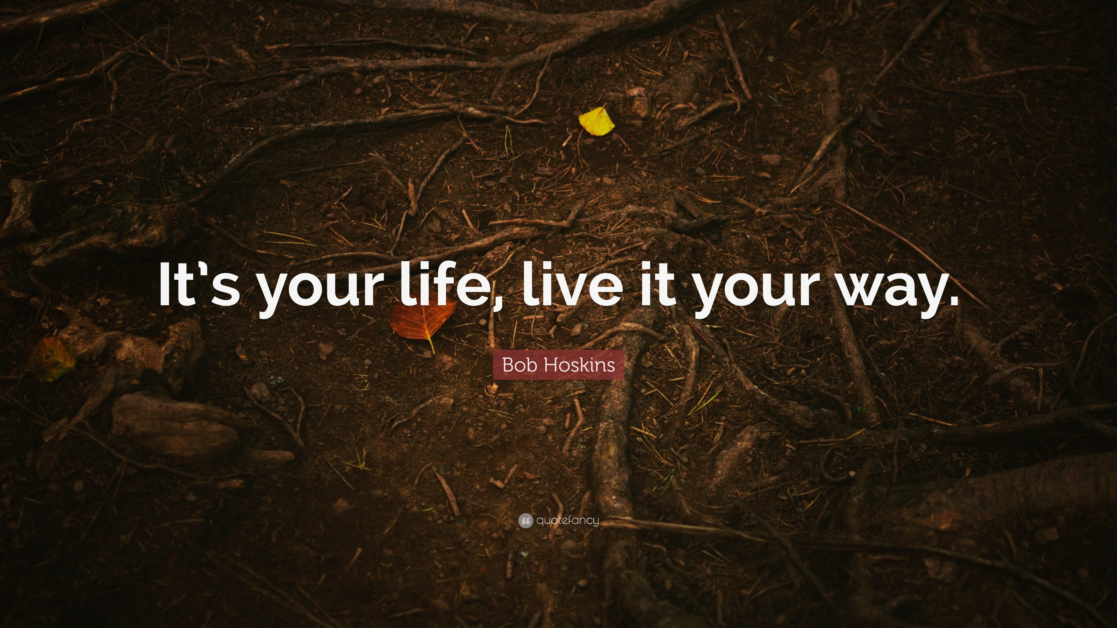 live life your way quotes bob hoskins quote u201cit u0027s your life live it your way u201d 12