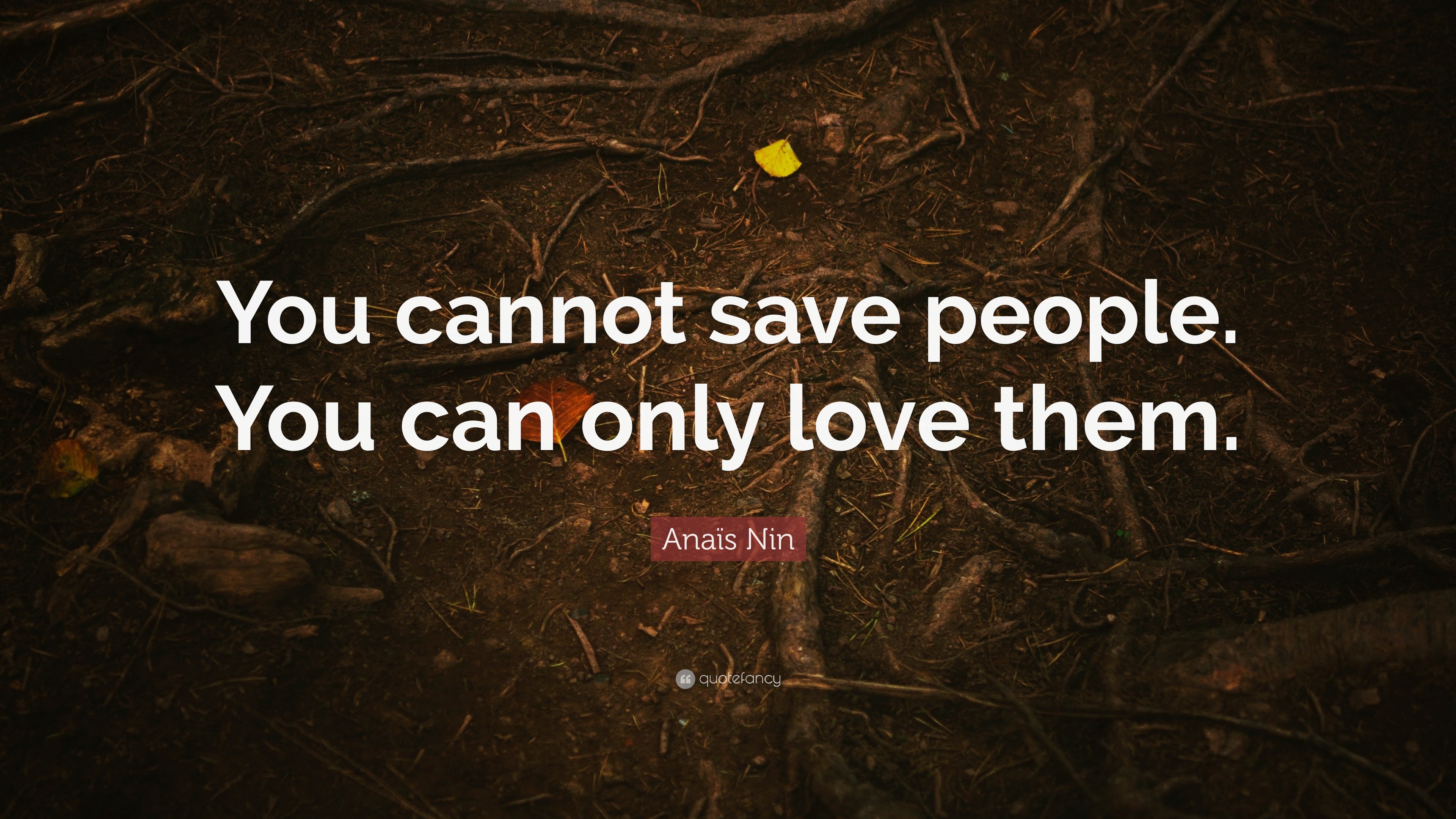 Anaïs Nin Quote: “You cannot save people. You can only love them.”