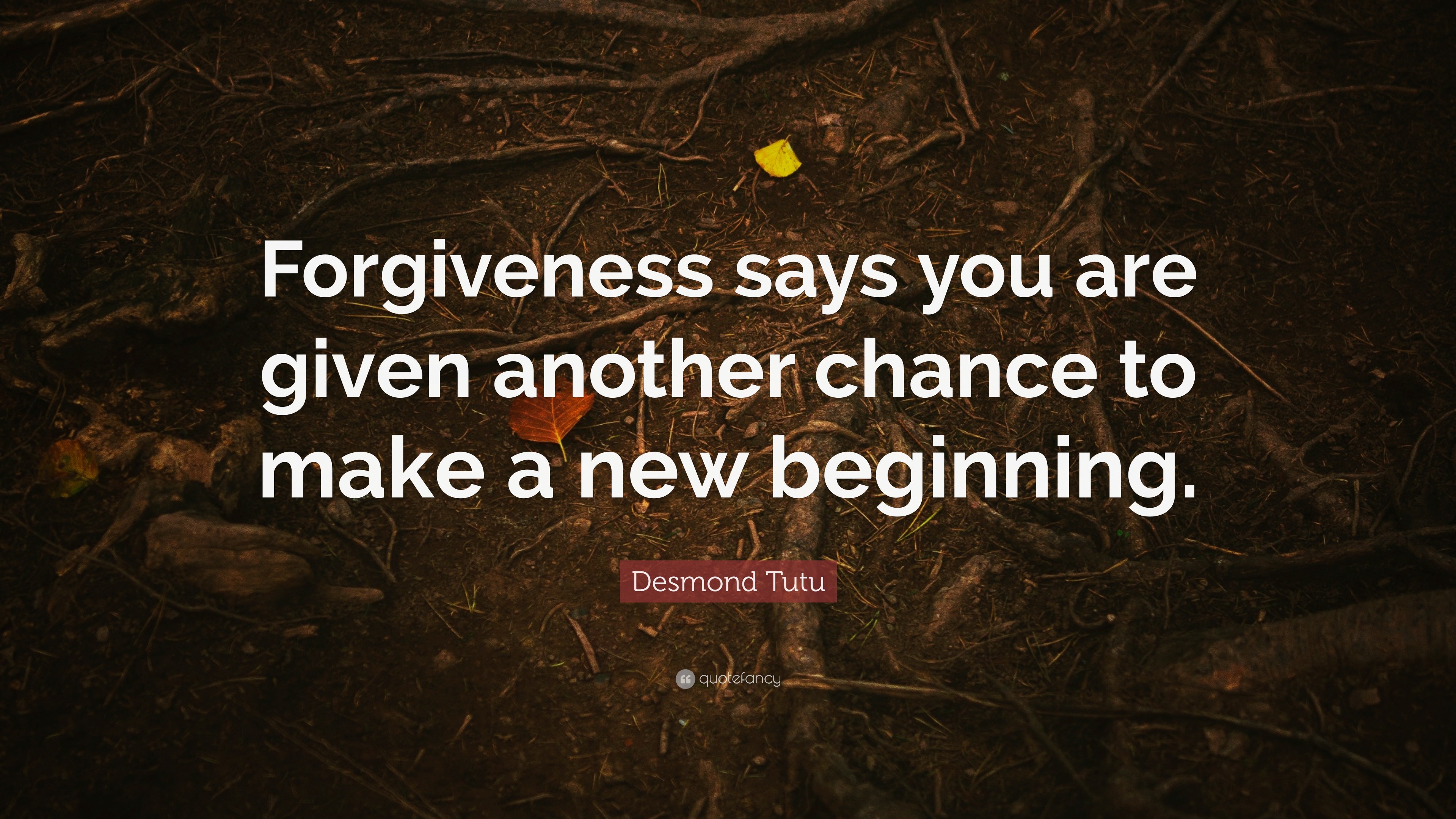 Desmond Tutu Quote: “Forgiveness says you are given another chance to ...