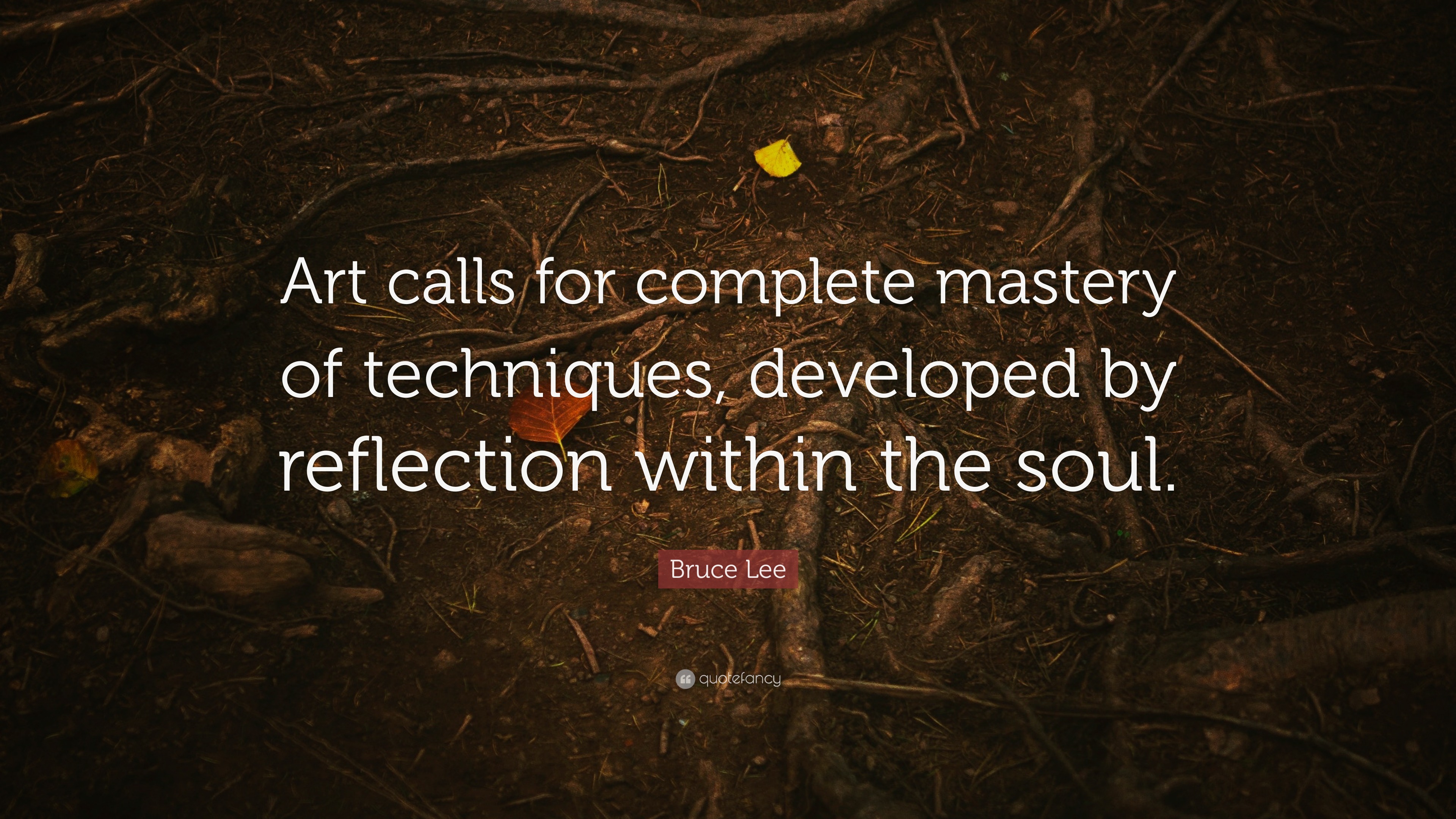 Bruce Lee Quote “Art calls for complete mastery of techniques