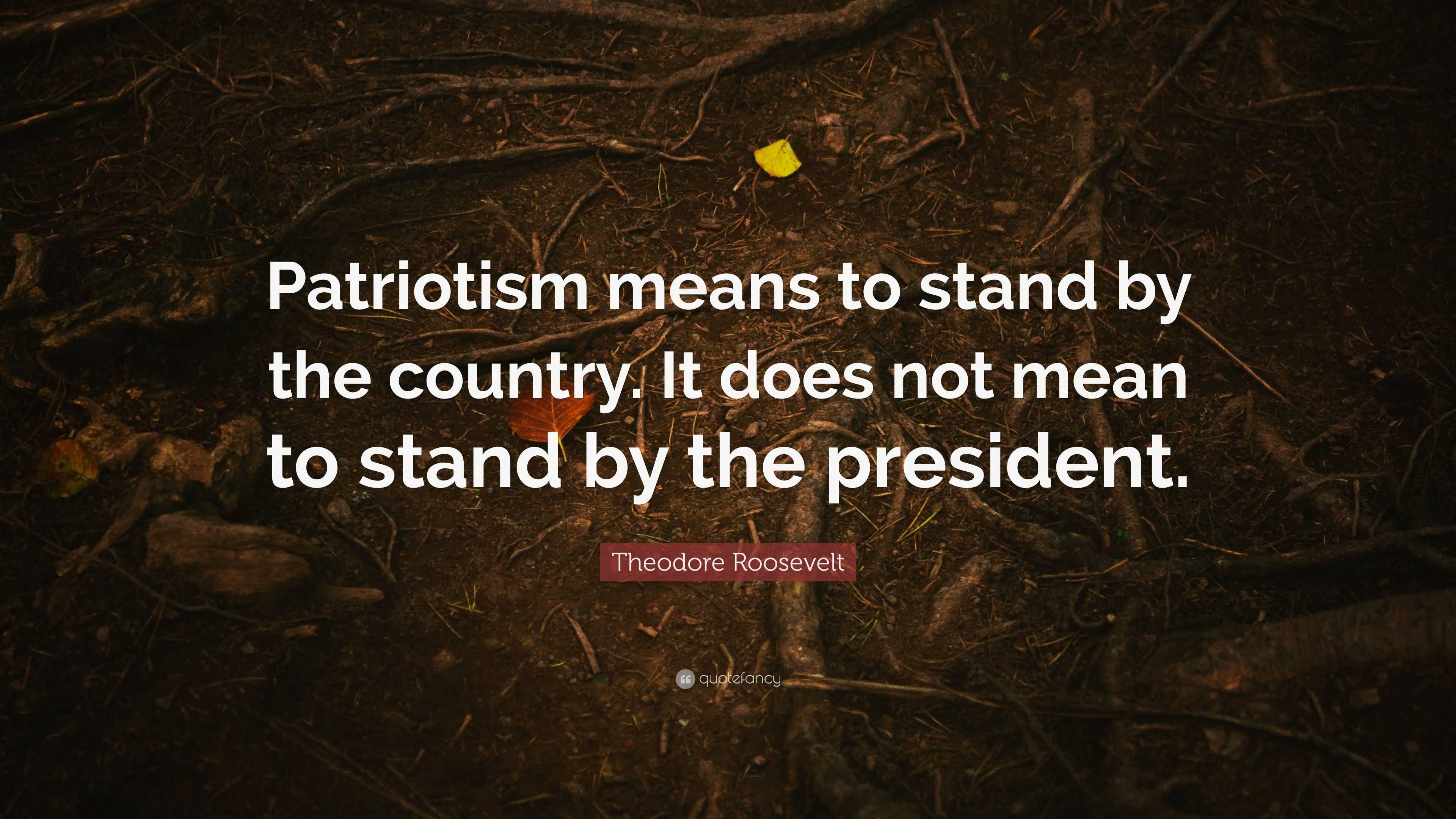Theodore Roosevelt Quote: "Patriotism means to stand by ...