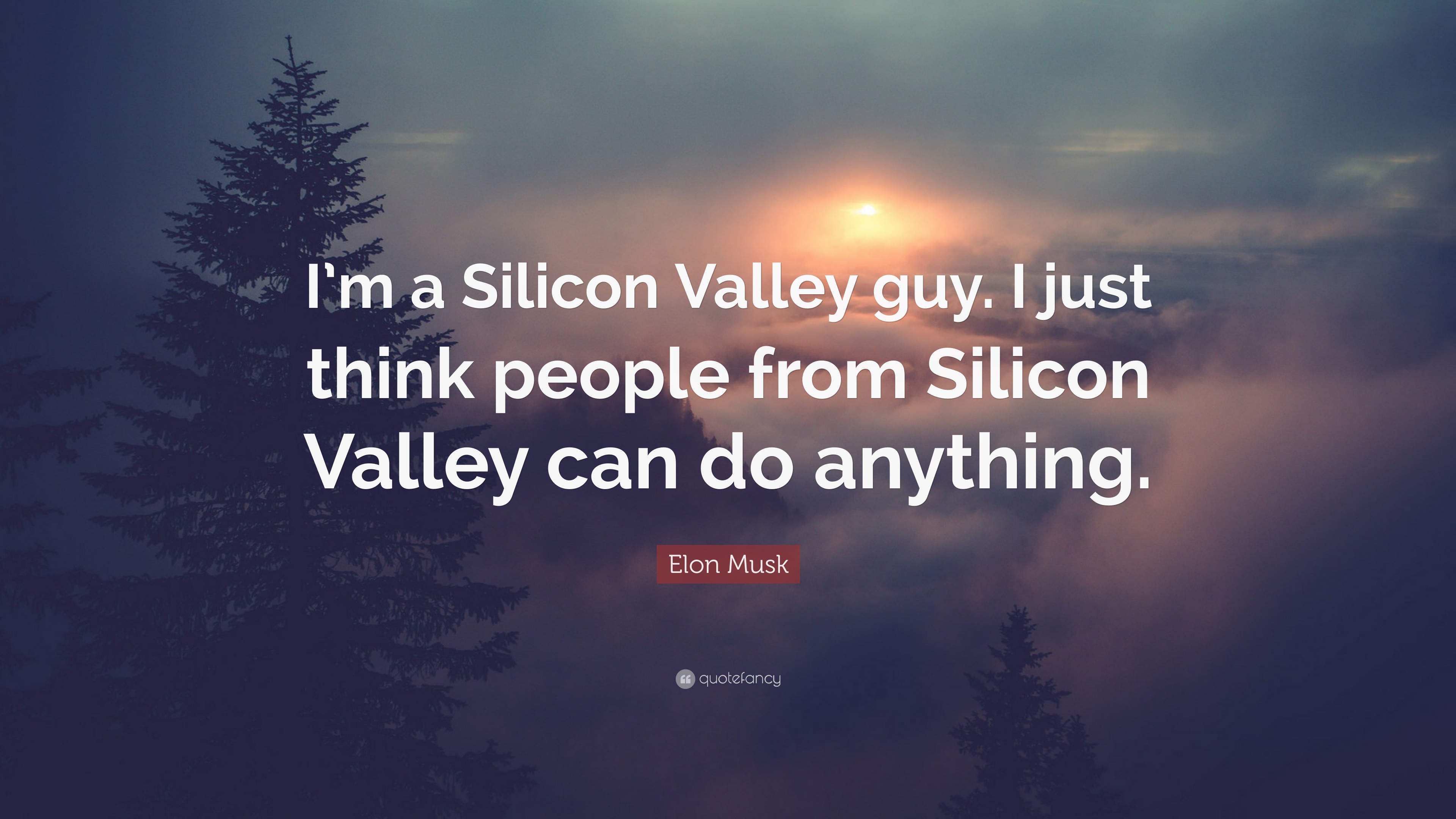 Elon Musk Quote: “I’m a Silicon Valley guy. I just think people from ...