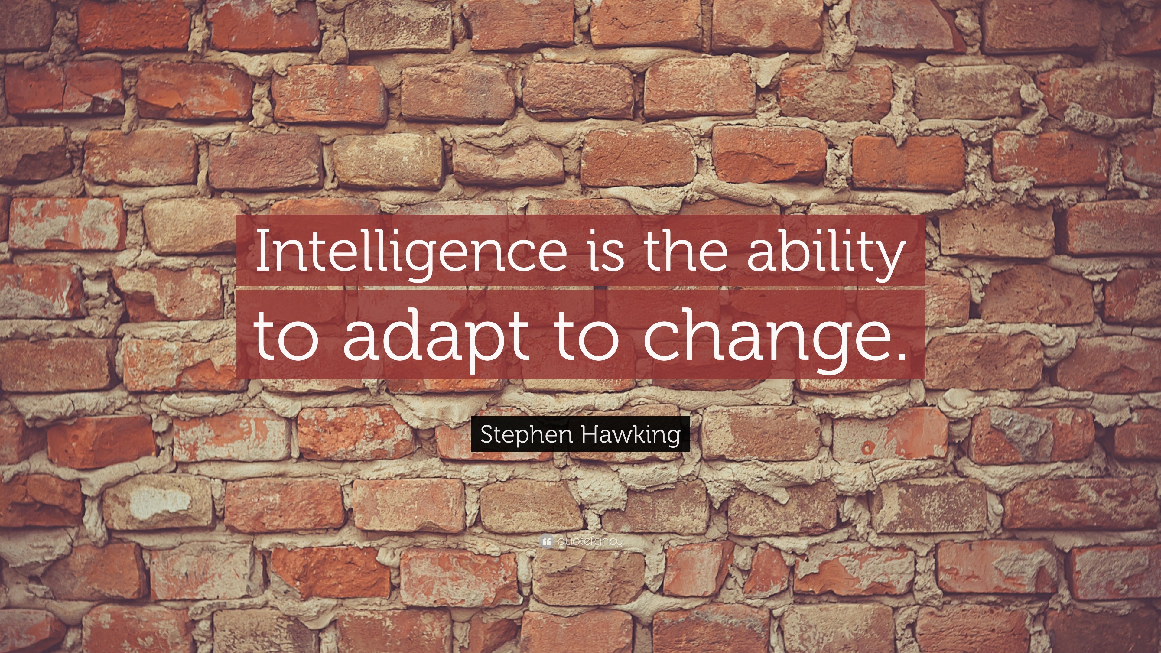 4698 Stephen Hawking Quote Intelligence is the ability to adapt to