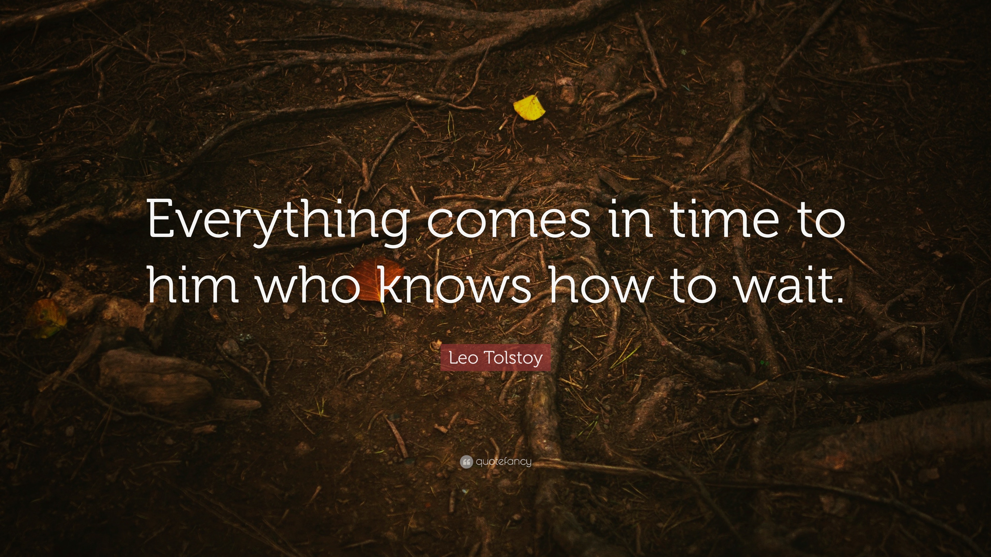 Leo Tolstoy Quote: “Everything comes in time to him who knows how to wait.”