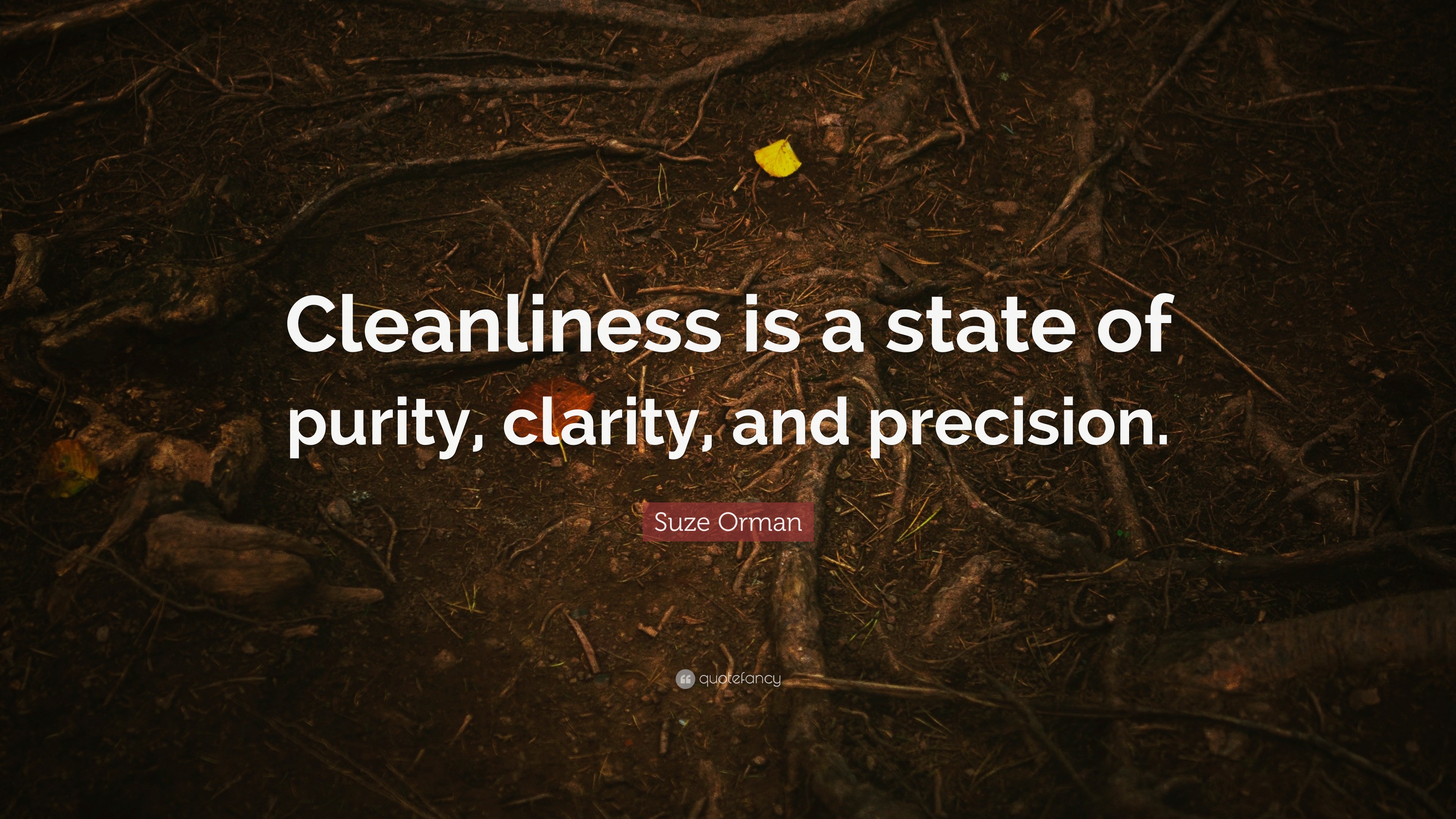 Suze Orman Quote: “Cleanliness Is A State Of Purity, Clarity, And ...