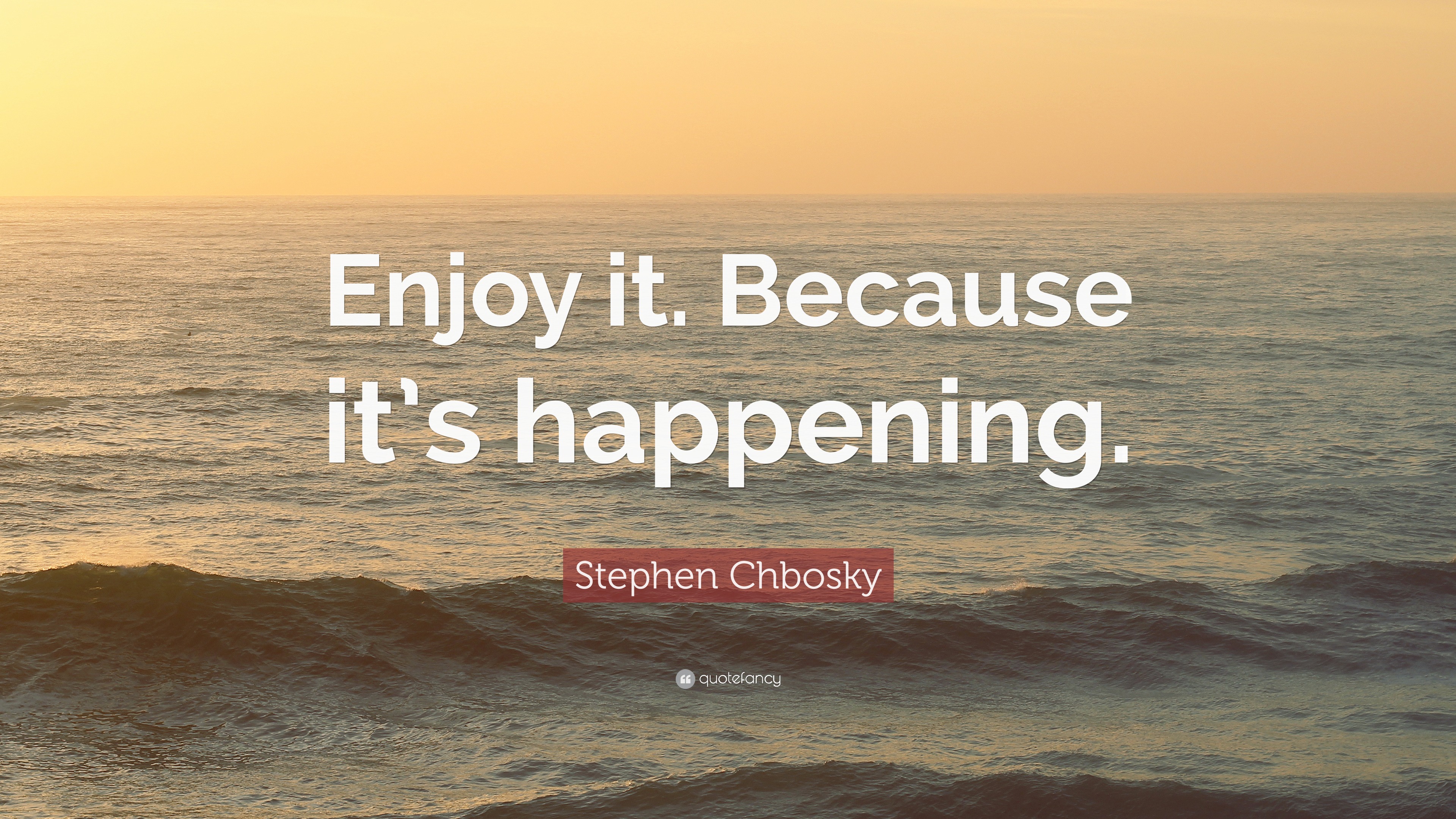 Stephen Chbosky Quote: “Enjoy it. Because it’s happening.”