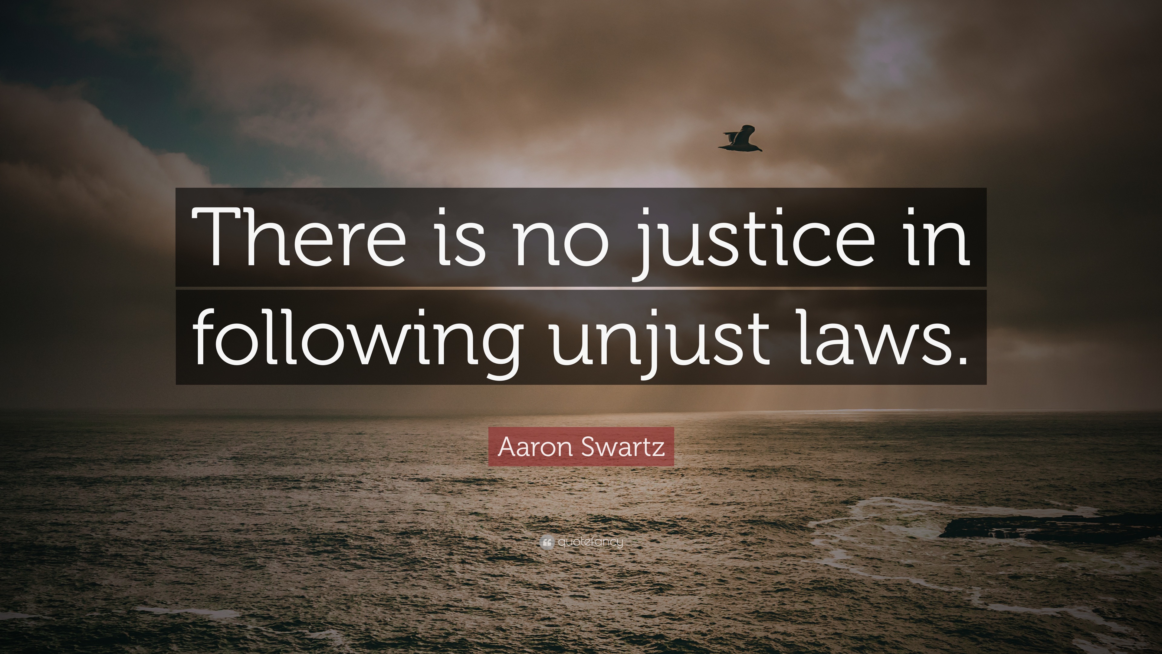 Aaron Swartz Quote: “There is no justice in following unjust laws.”