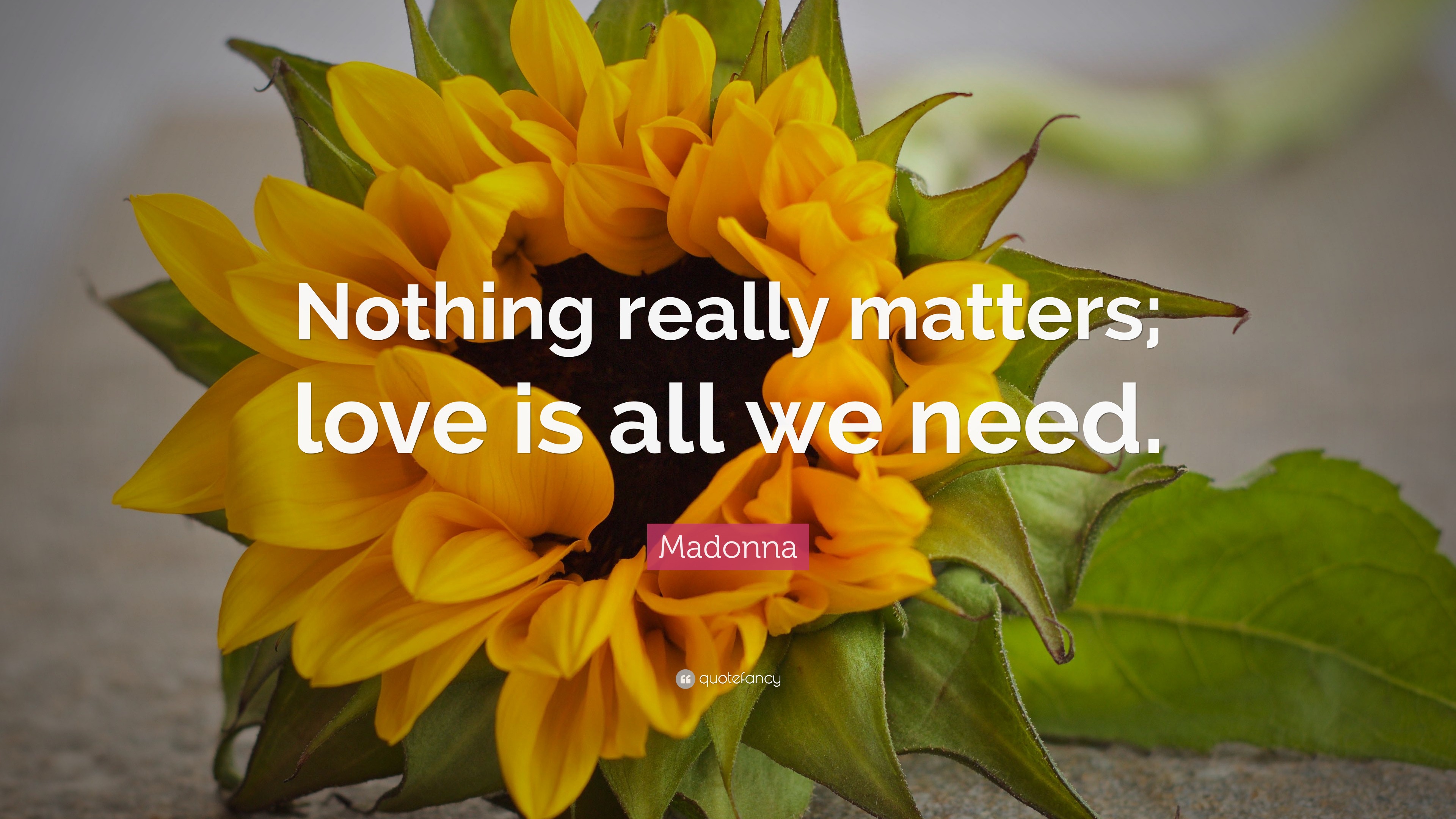 Madonna Quote: “Nothing really matters; love is all we need.”