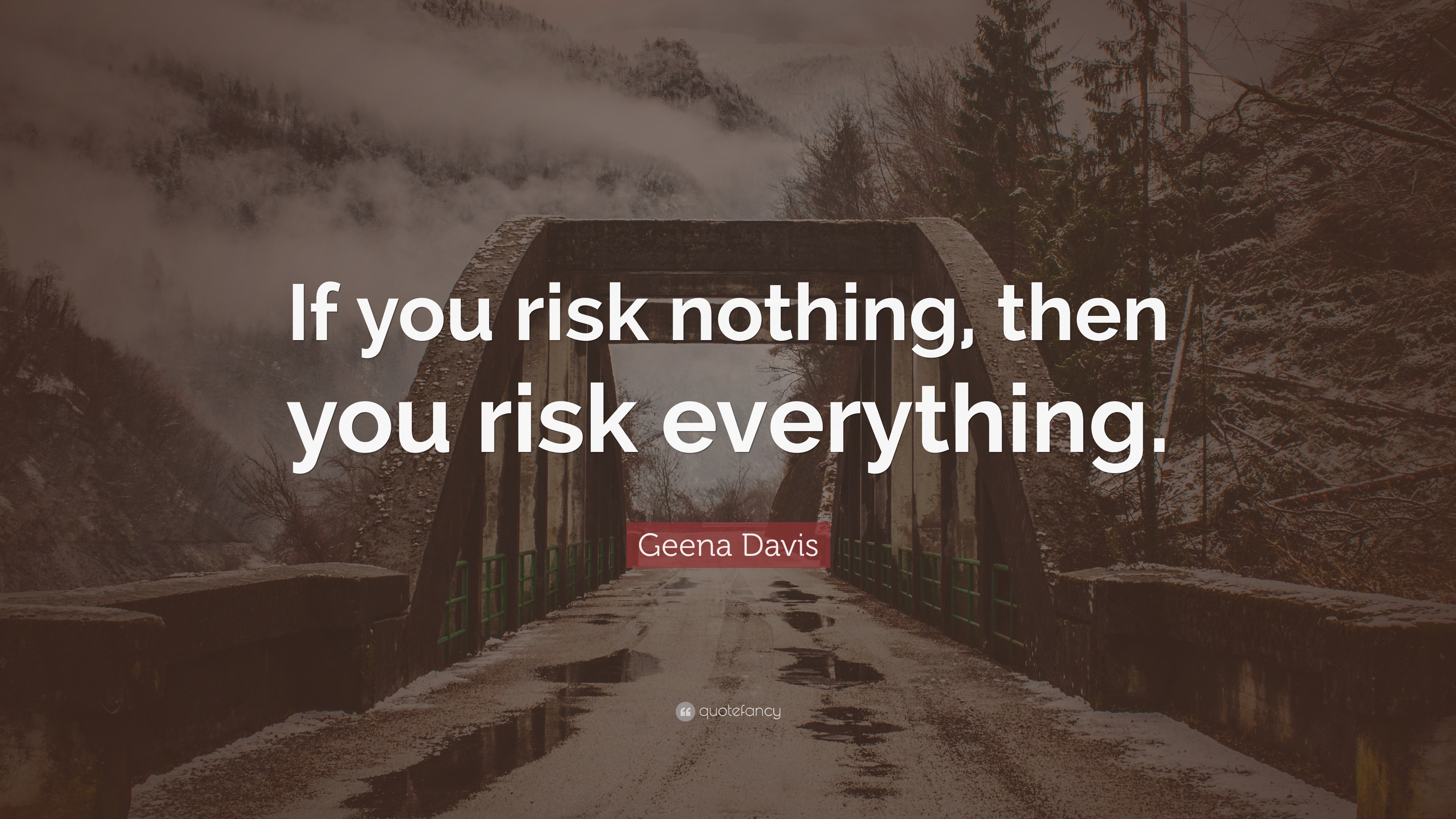 Geena Davis Quote: “If you risk nothing, then you risk everything.”