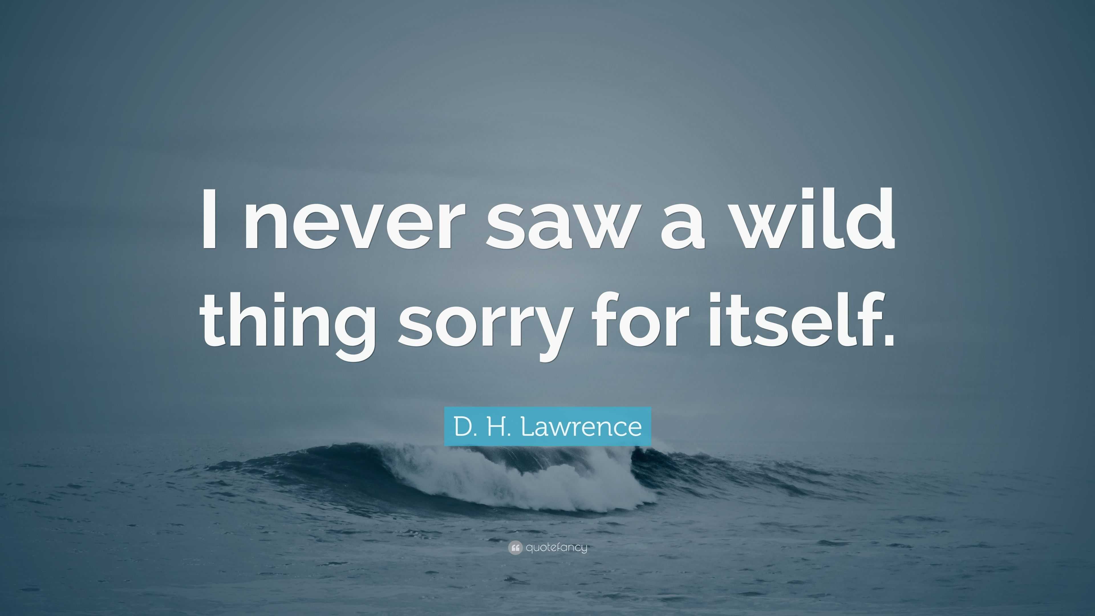 D. H. Lawrence Quote “I never saw a wild thing sorry for