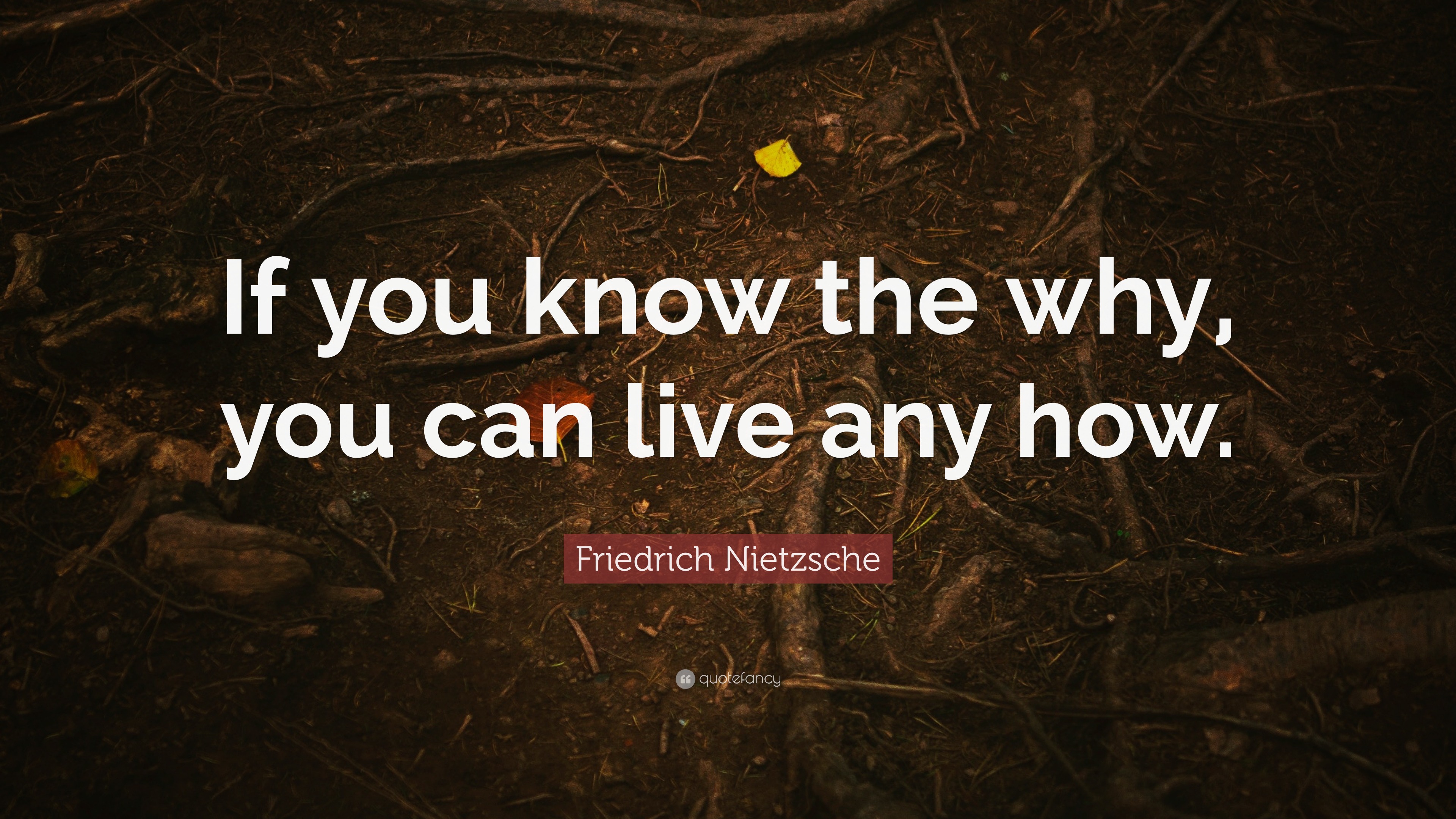 Friedrich Nietzsche Quote “if You Know The Why You Can Live Any How”