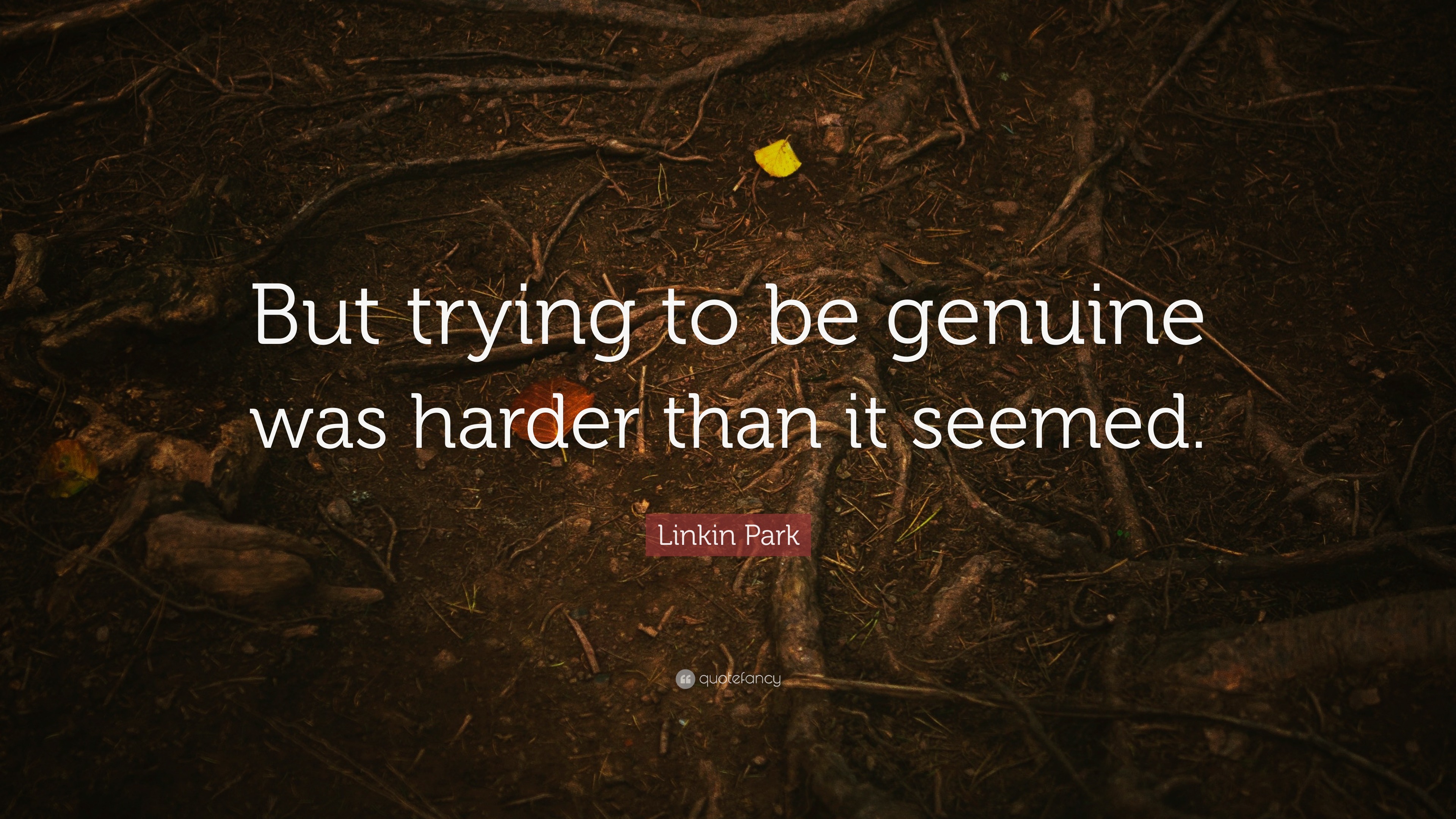 Linkin Park Quote: “But trying to be genuine was harder than it seemed.”