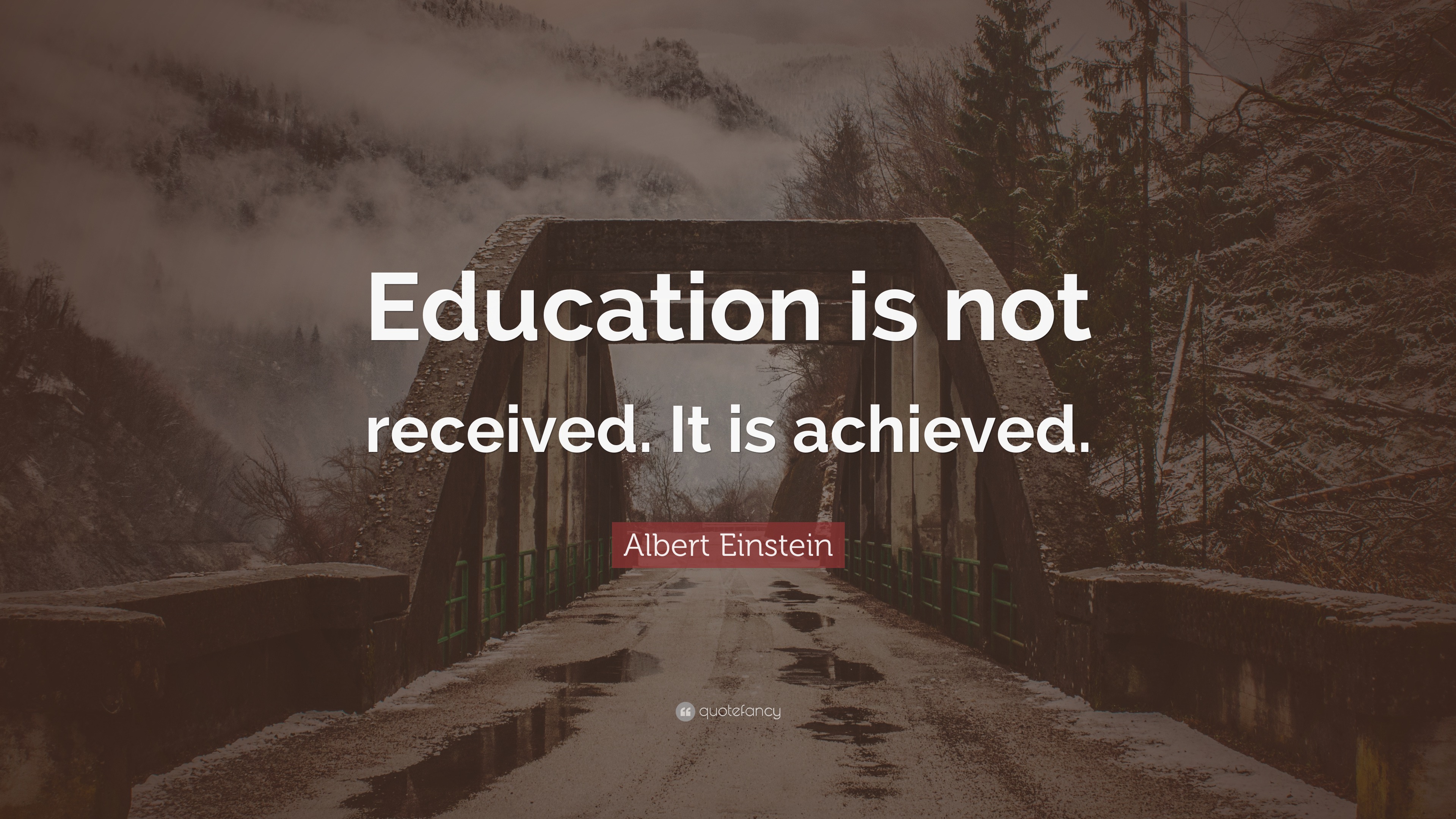 Albert Einstein Quote: “Education is not received. It is achieved.”