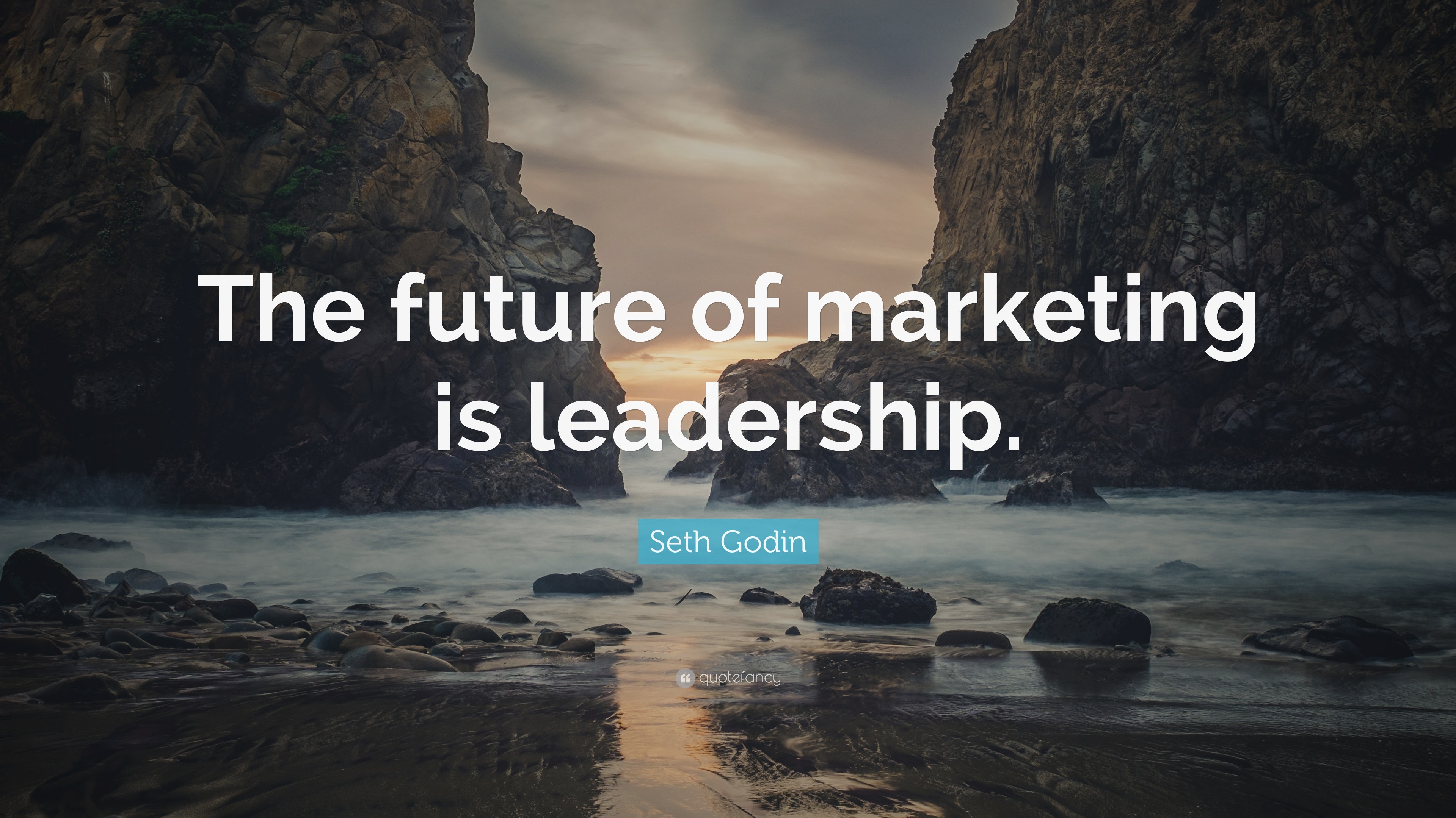 Seth Godin Quote: “The future of marketing is leadership.”