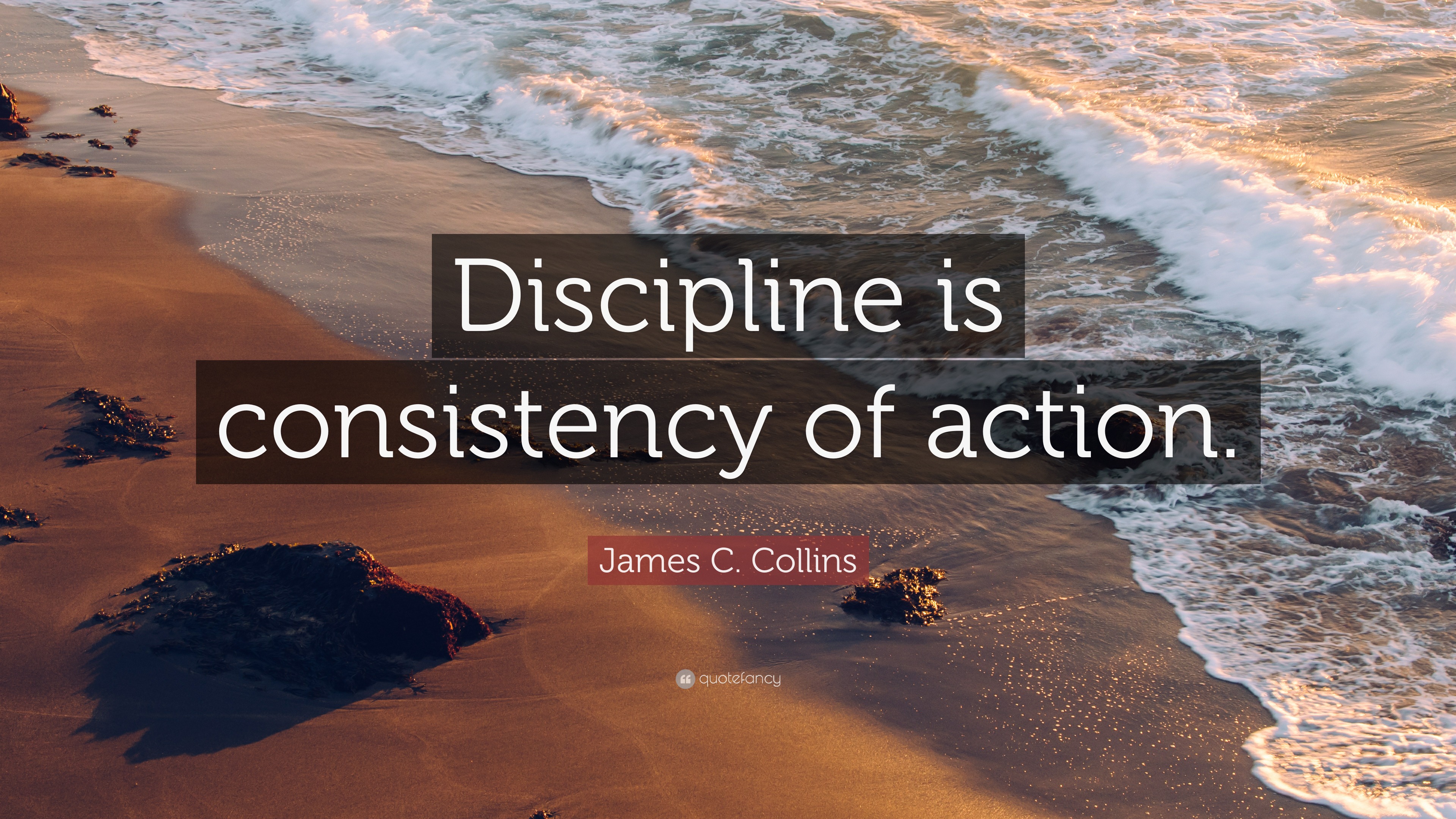 James C. Collins Quote: “Discipline Is Consistency Of Action.”