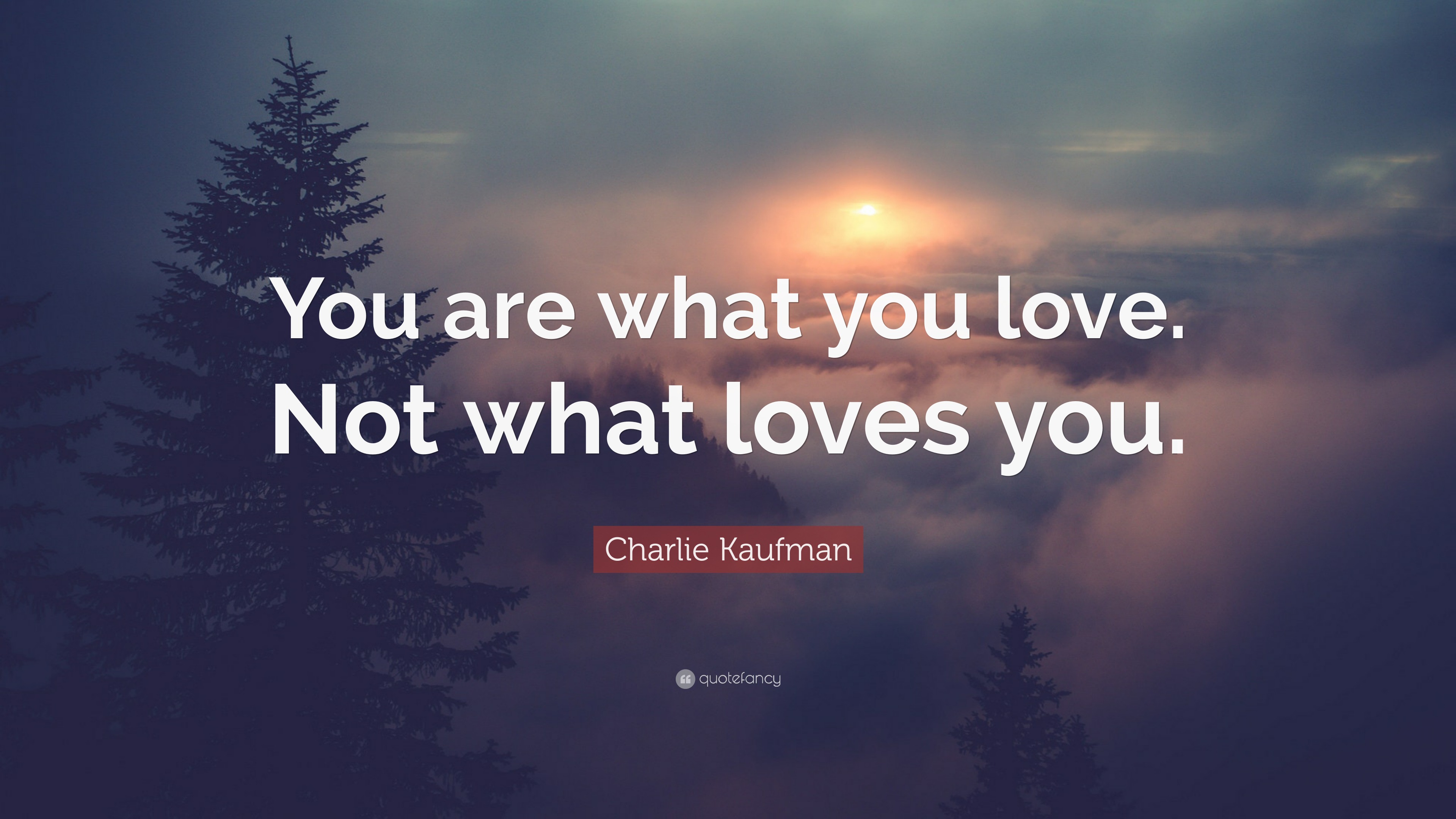 Charlie Kaufman Quote: “You are what you love. Not what loves you.”