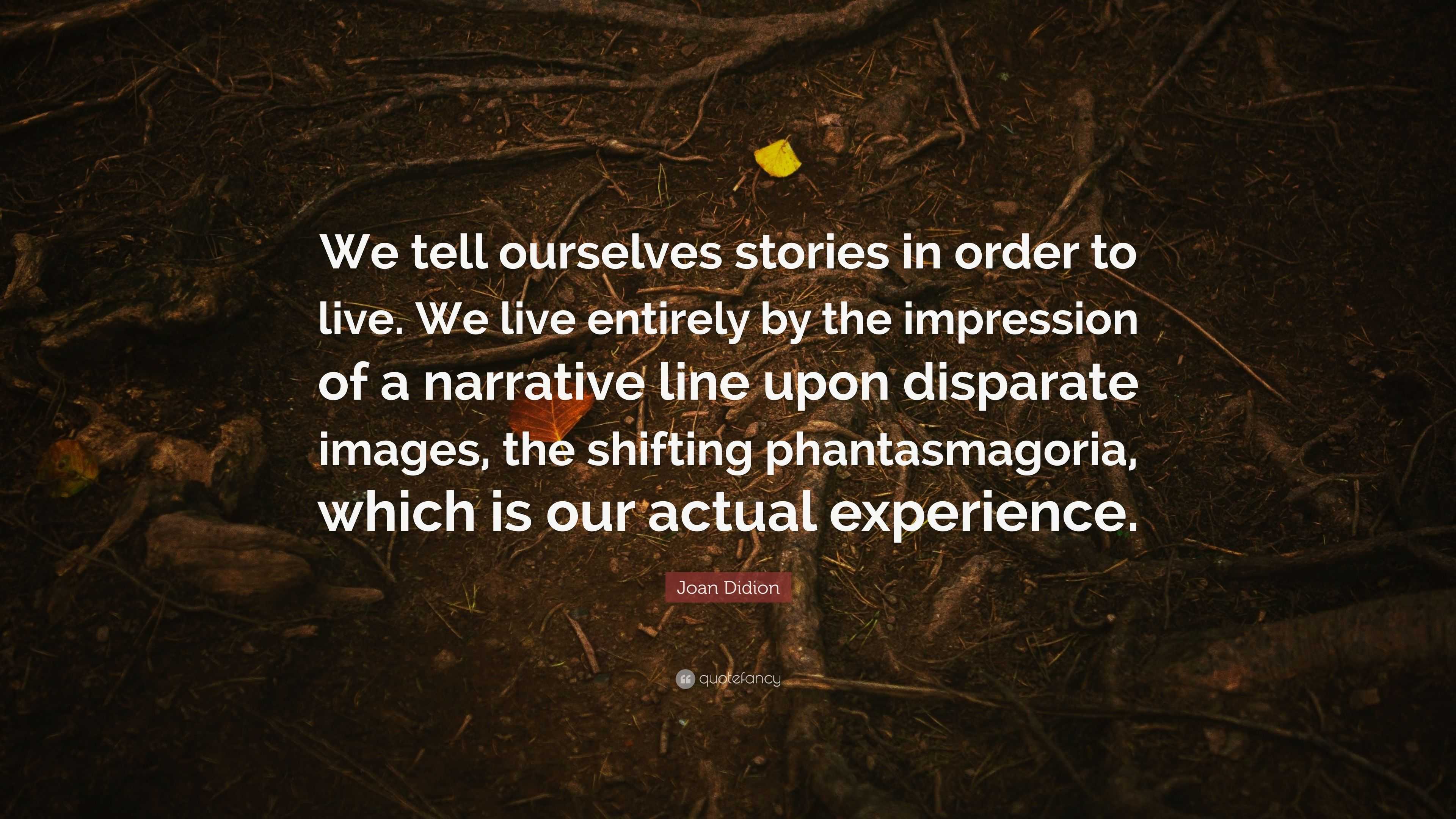 we tell ourselves stories in order to live meaning
