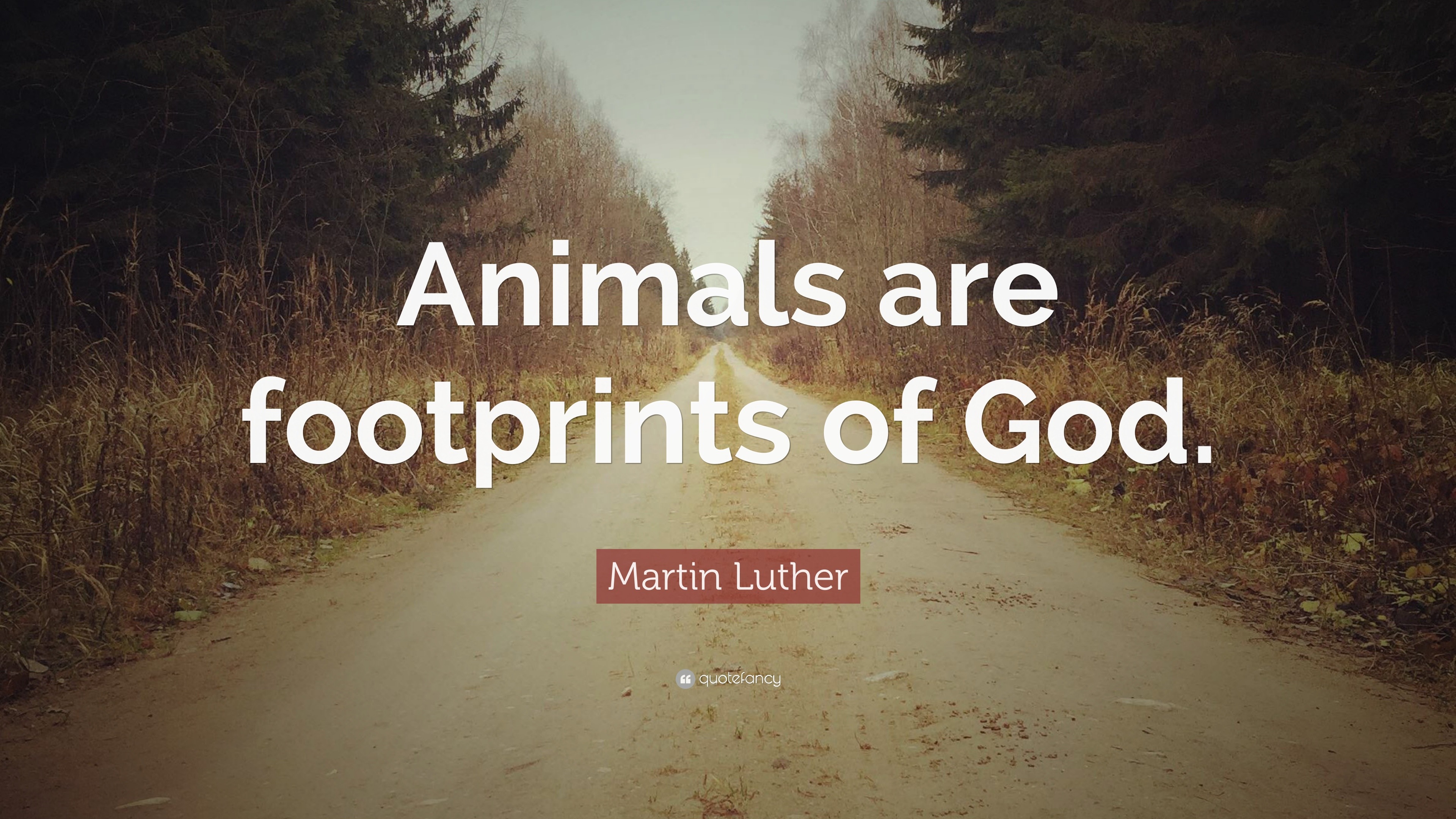 Martin Luther Quote: “Animals are footprints of God.”