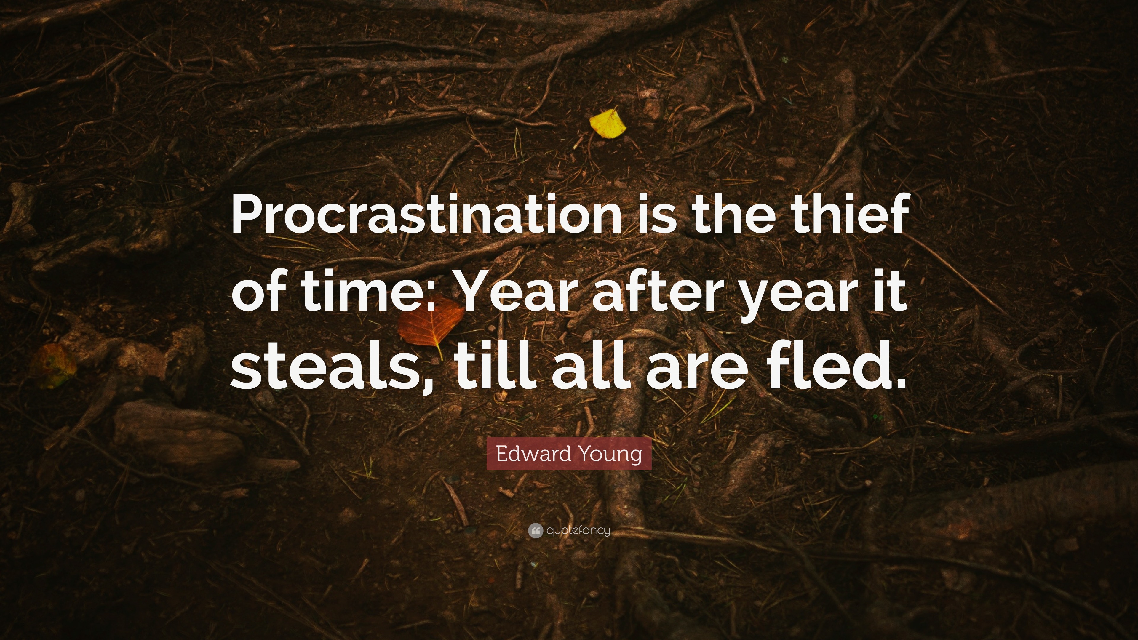 procrastination is the thief of time essay 400 words