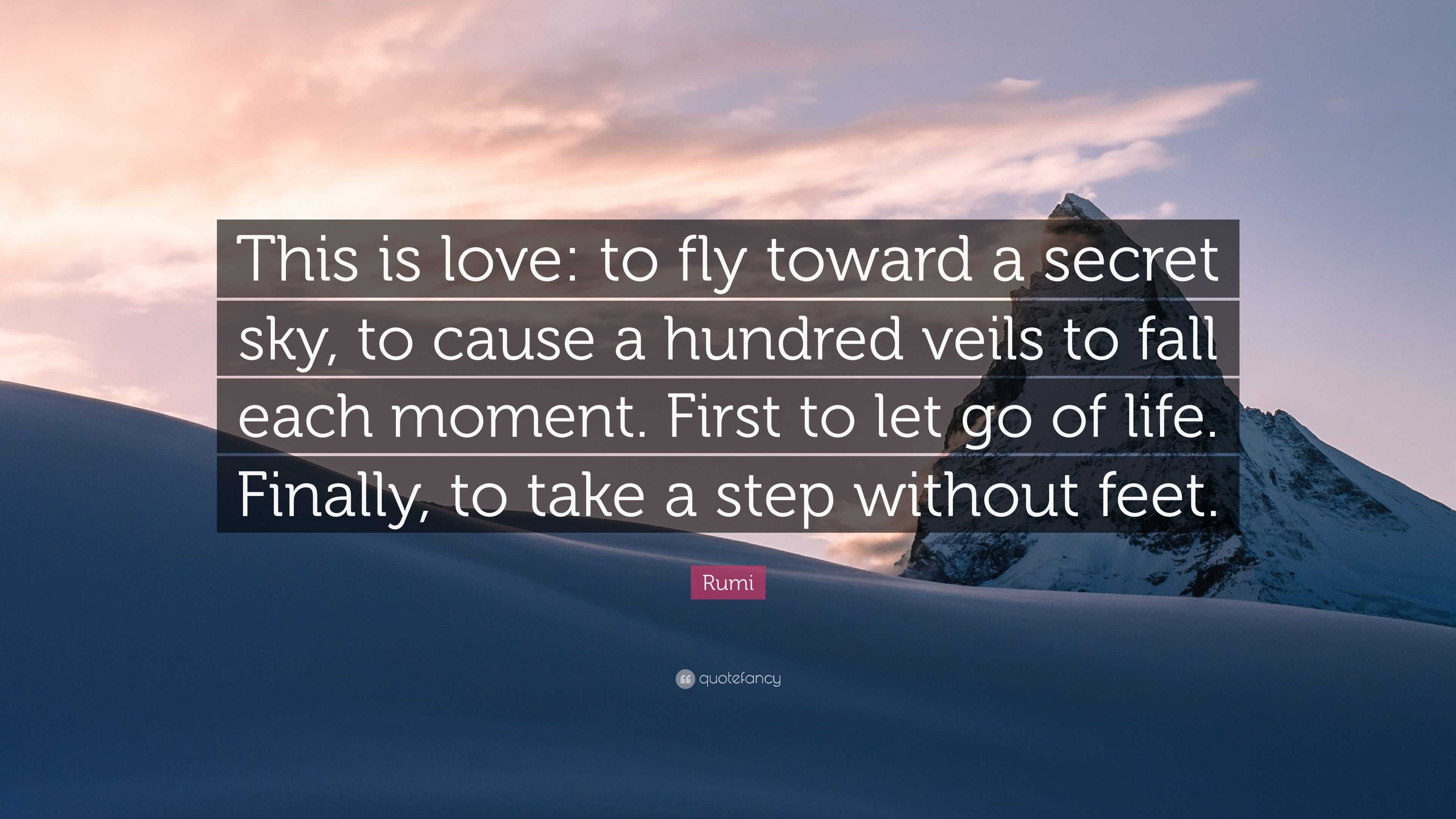 Rumi Quote “This is love to fly toward a secret sky, to cause a