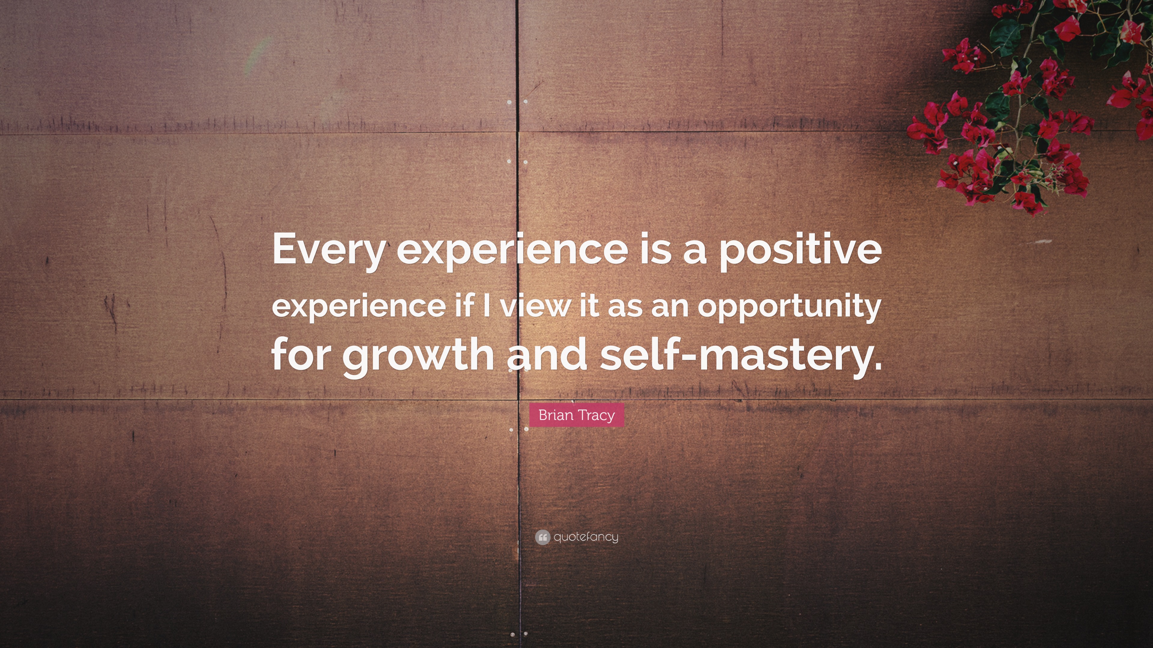 brian-tracy-quote-every-experience-is-a-positive-experience-if-i-view