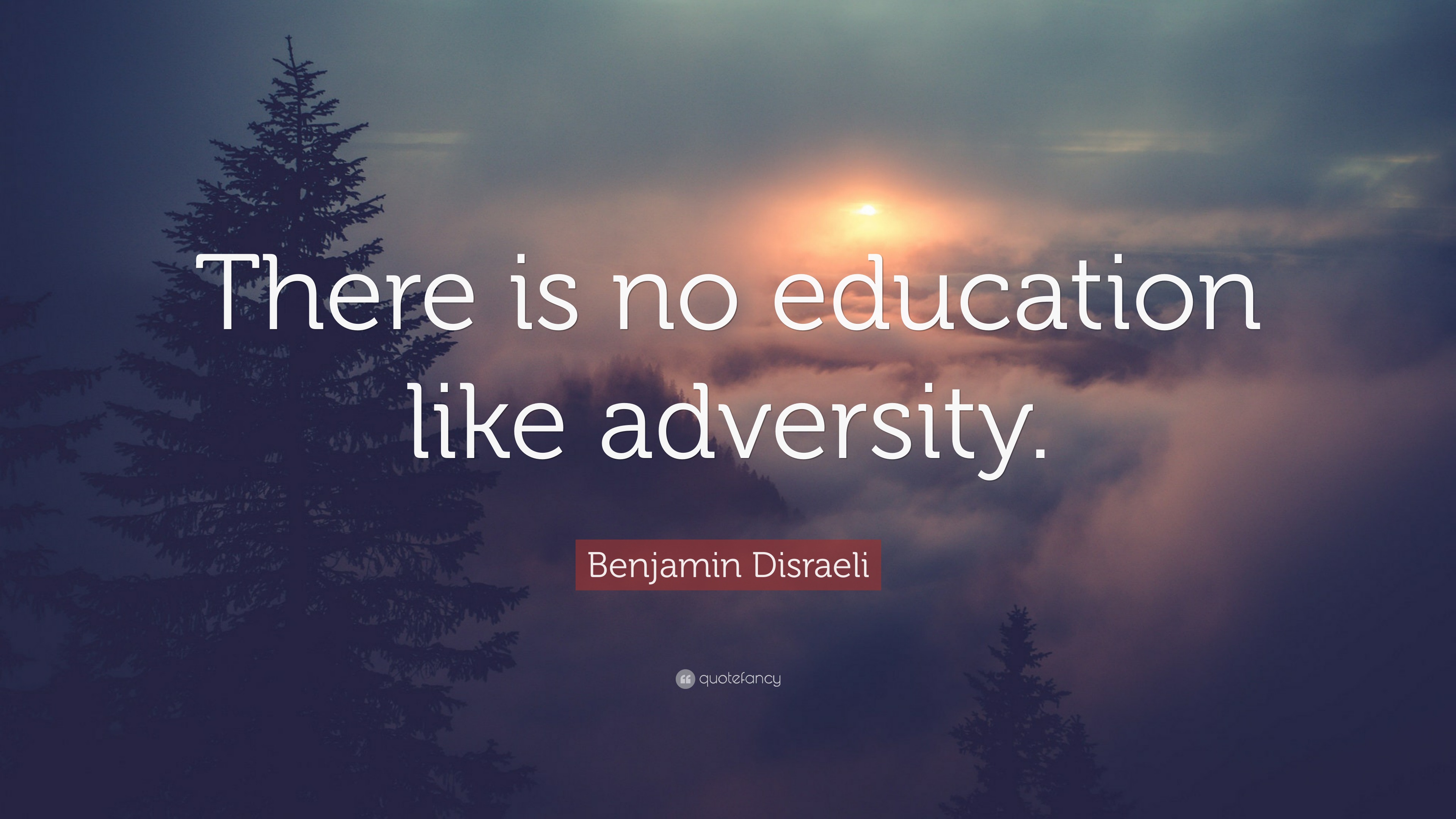 Benjamin Disraeli Quote “There is no education like adversity.”