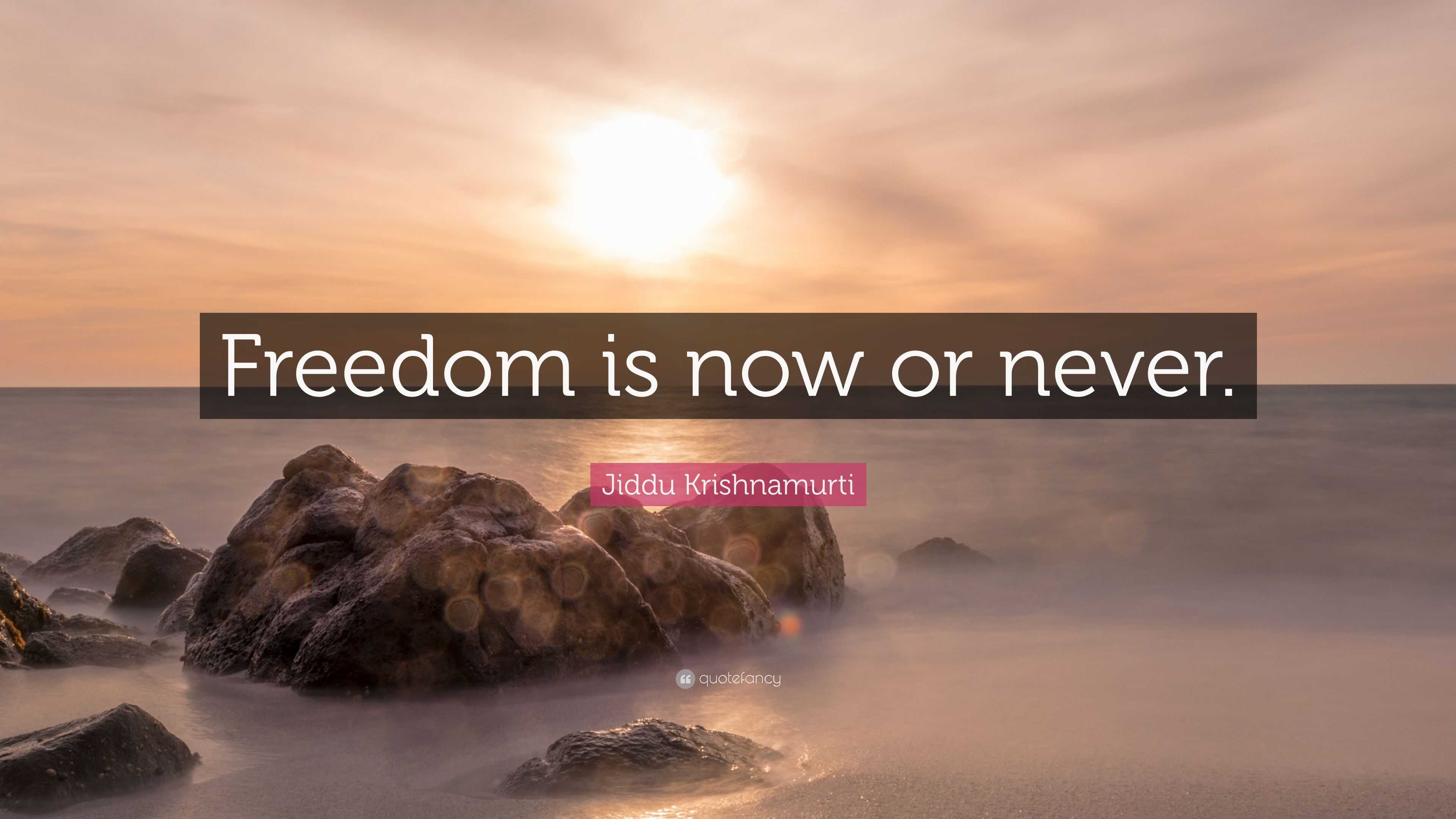 Jiddu Krishnamurti Quote: “Freedom is now or never.”