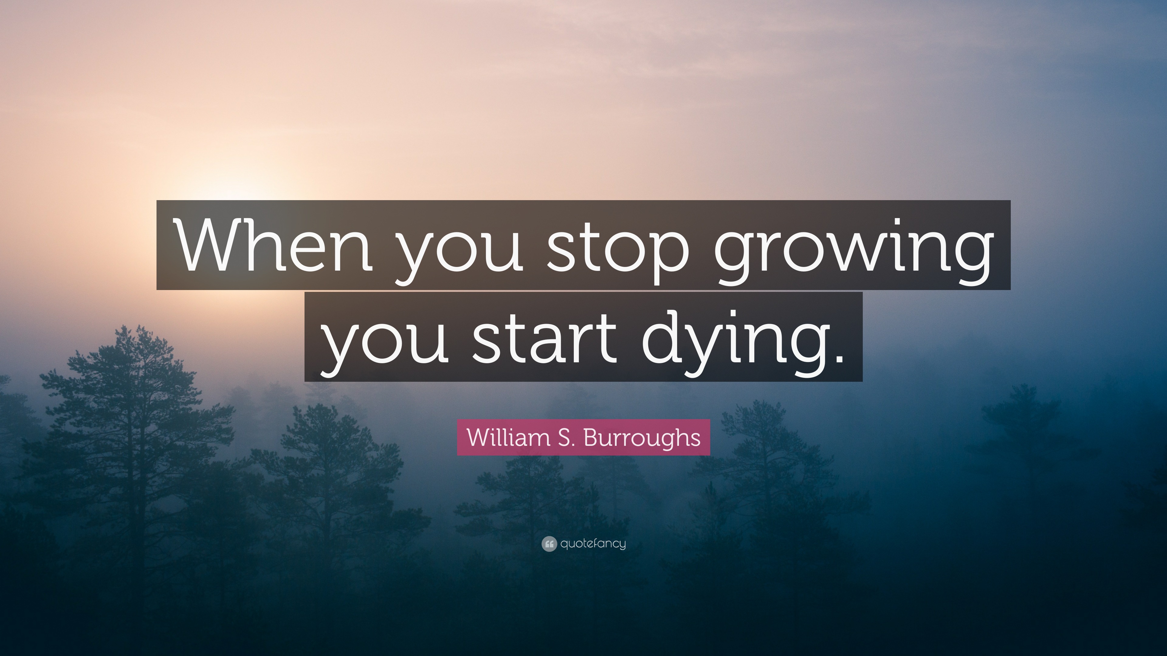 William S. Burroughs Quote “When you stop growing you start dying.”