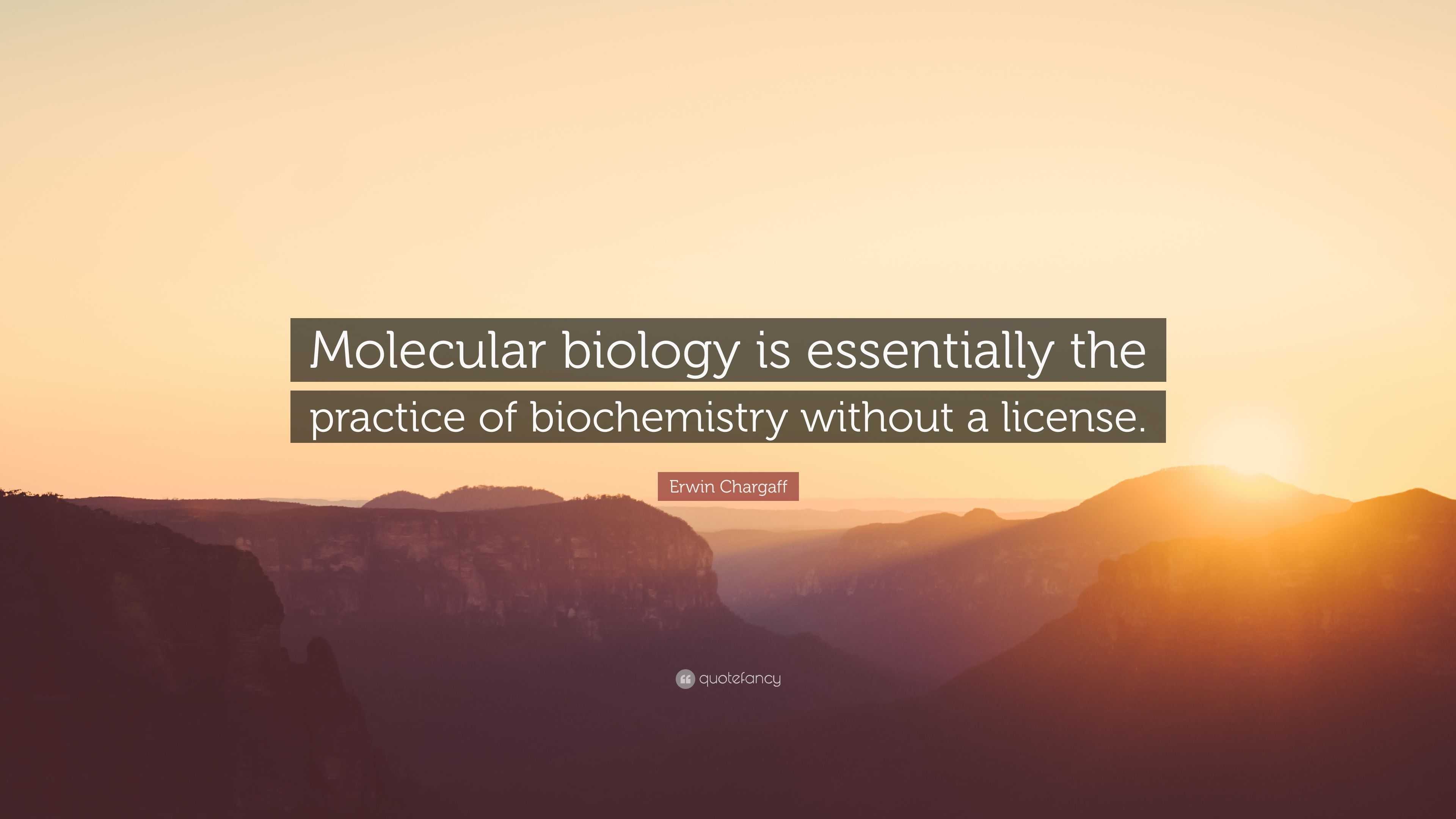 Erwin Chargaff Quote “Molecular biology is essentially the practice of