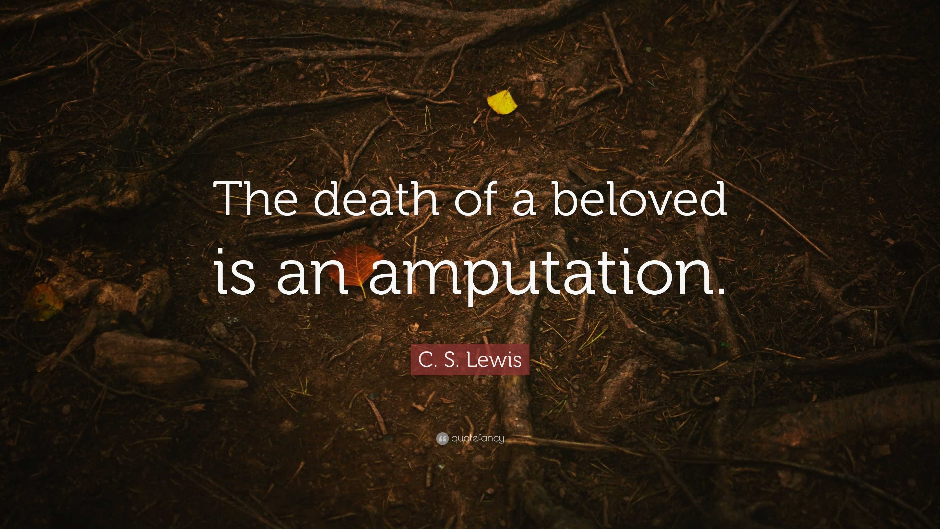 C. S. Lewis Quote: “The death of a beloved is an amputation.”