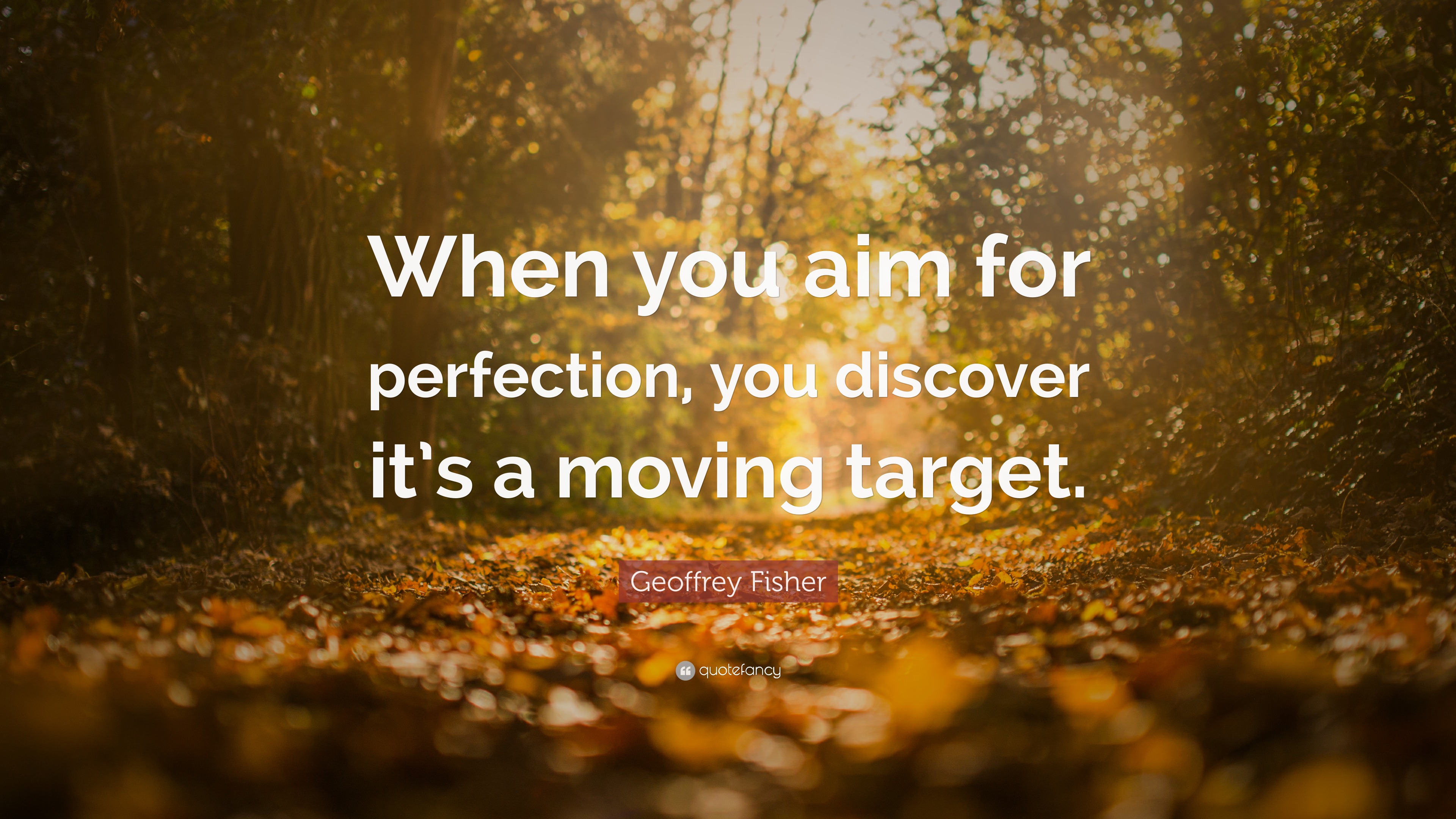 Geoffrey Fisher Quote: “When you aim for perfection, you discover it’s