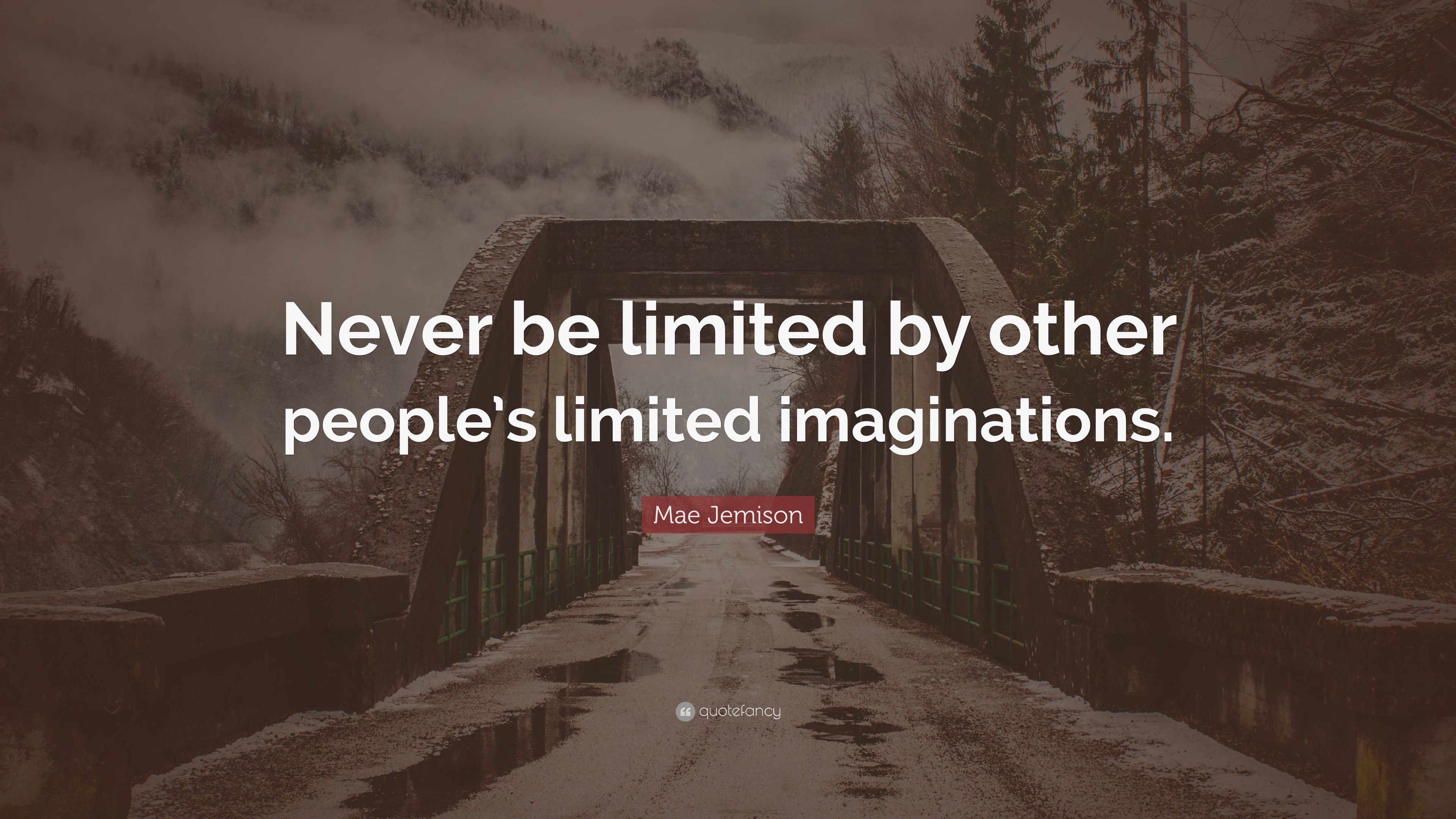 Mae Jemison Quote: “Never be limited by other people’s limited ...