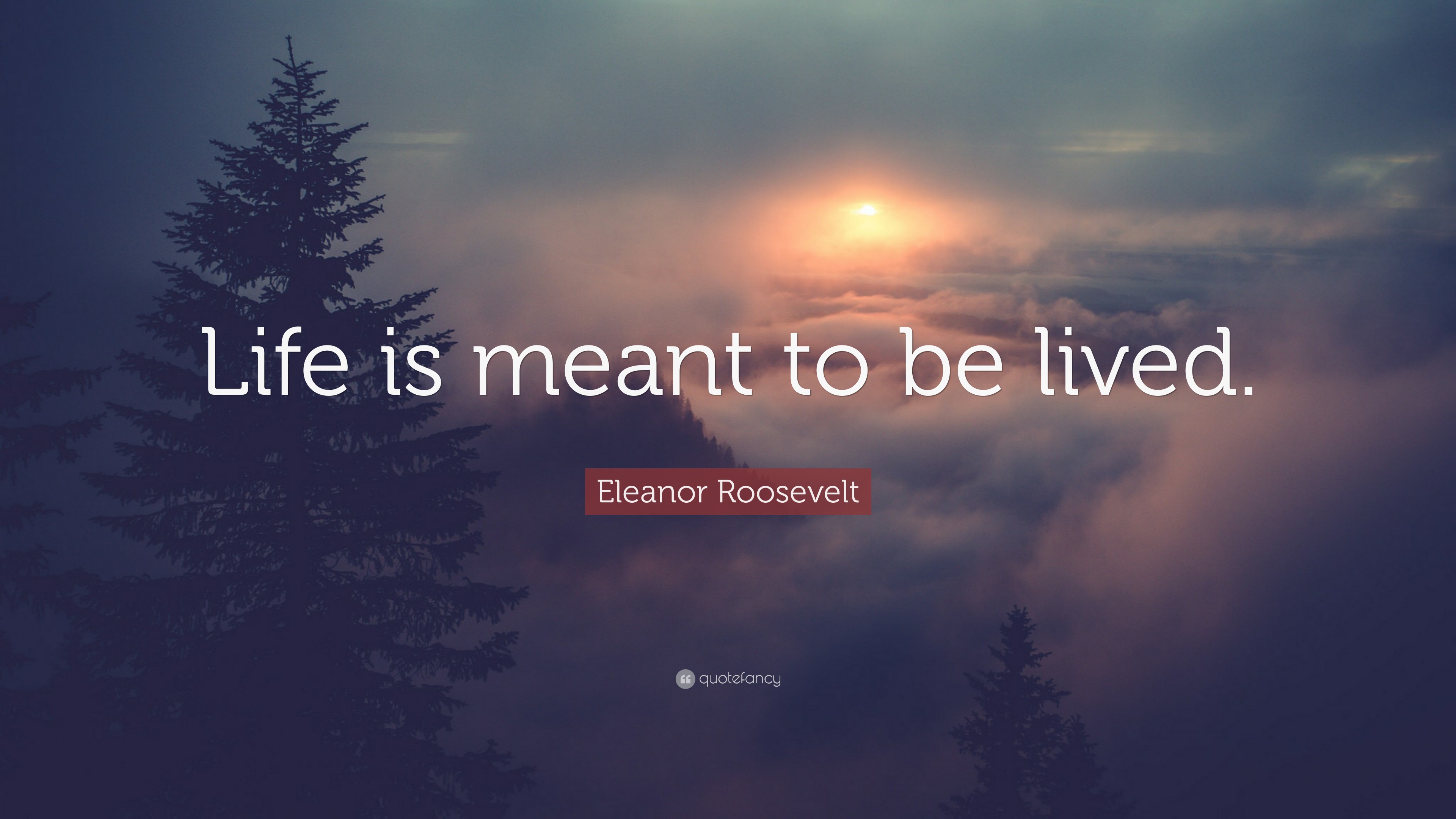 Eleanor Roosevelt Quote “Life is meant to be lived ”