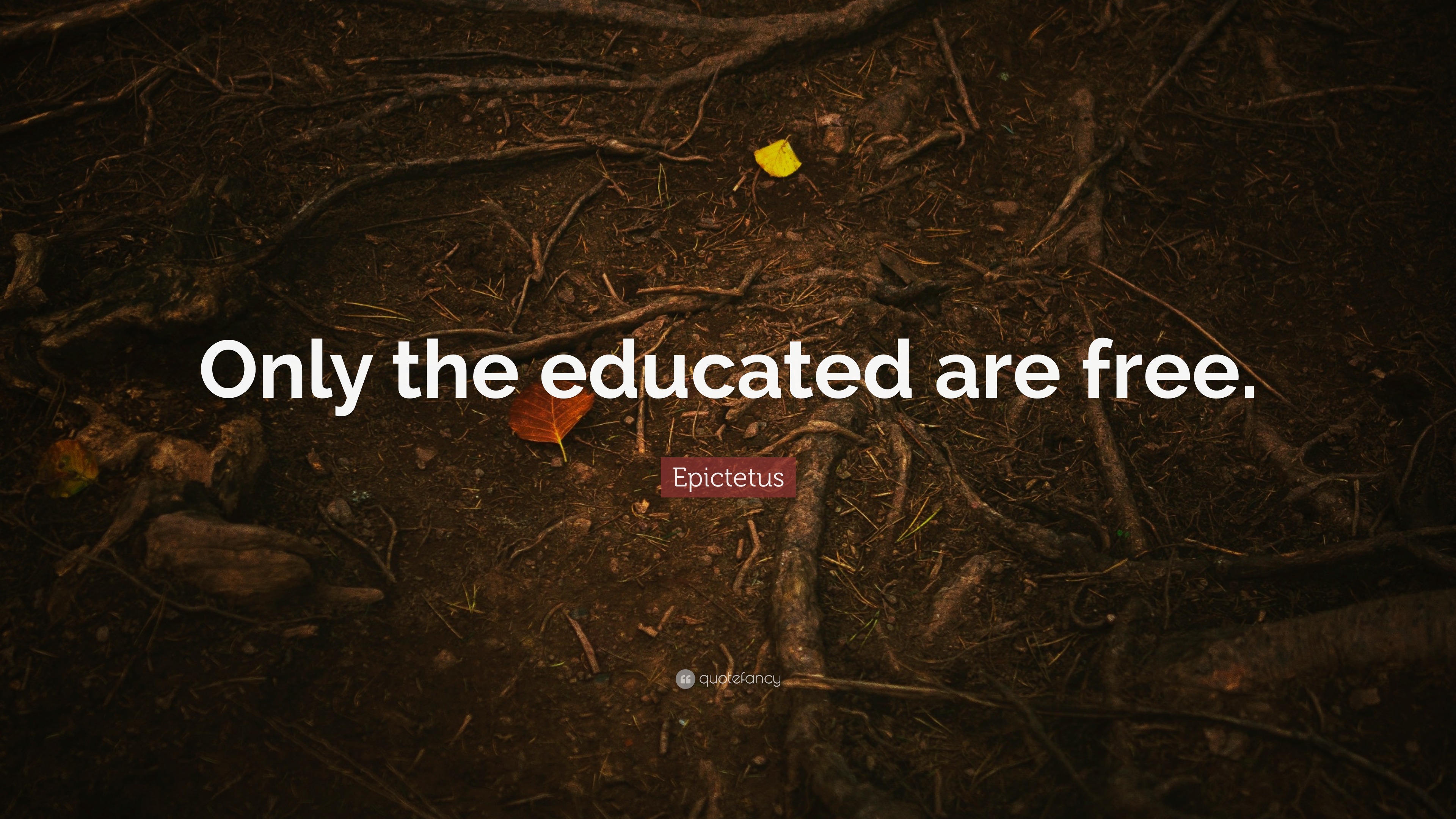 Epictetus Quote “Only the educated are free.”