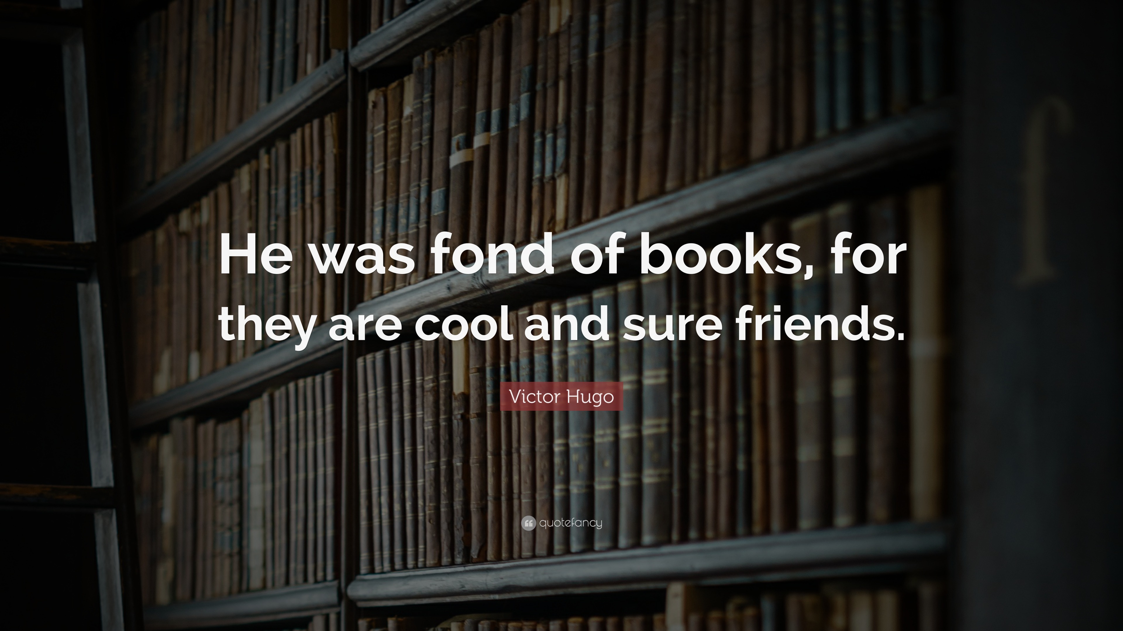 Victor Hugo Quote: “he Was Fond Of Books, For They Are Cool And Sure 