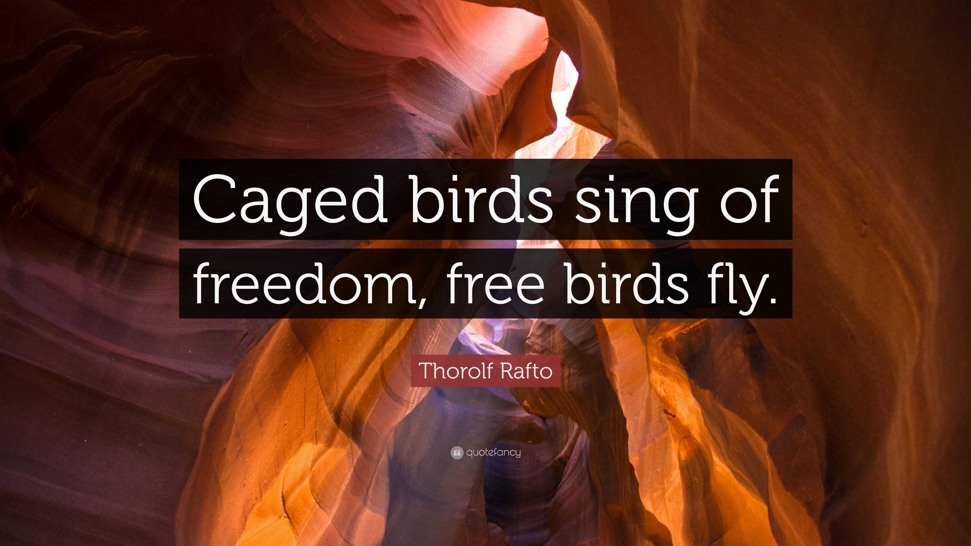 Thorolf Rafto Quote Caged Birds Sing Of Freedom Free Birds Fly thorolf-rafto-quote-caged-birds-sing-of-freedom-free-birds-fly