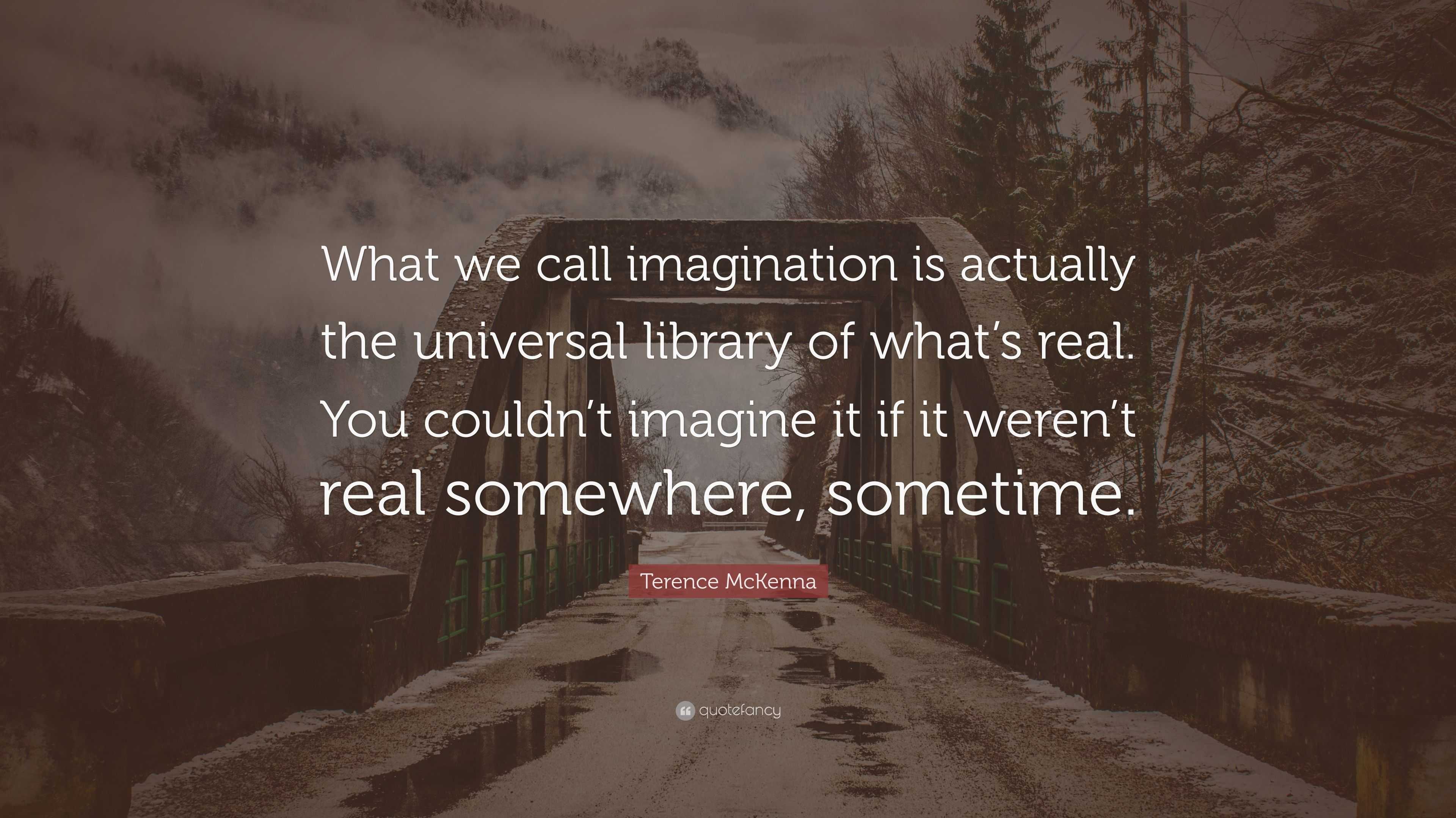 Terence McKenna Quote “What we call imagination is actually the
