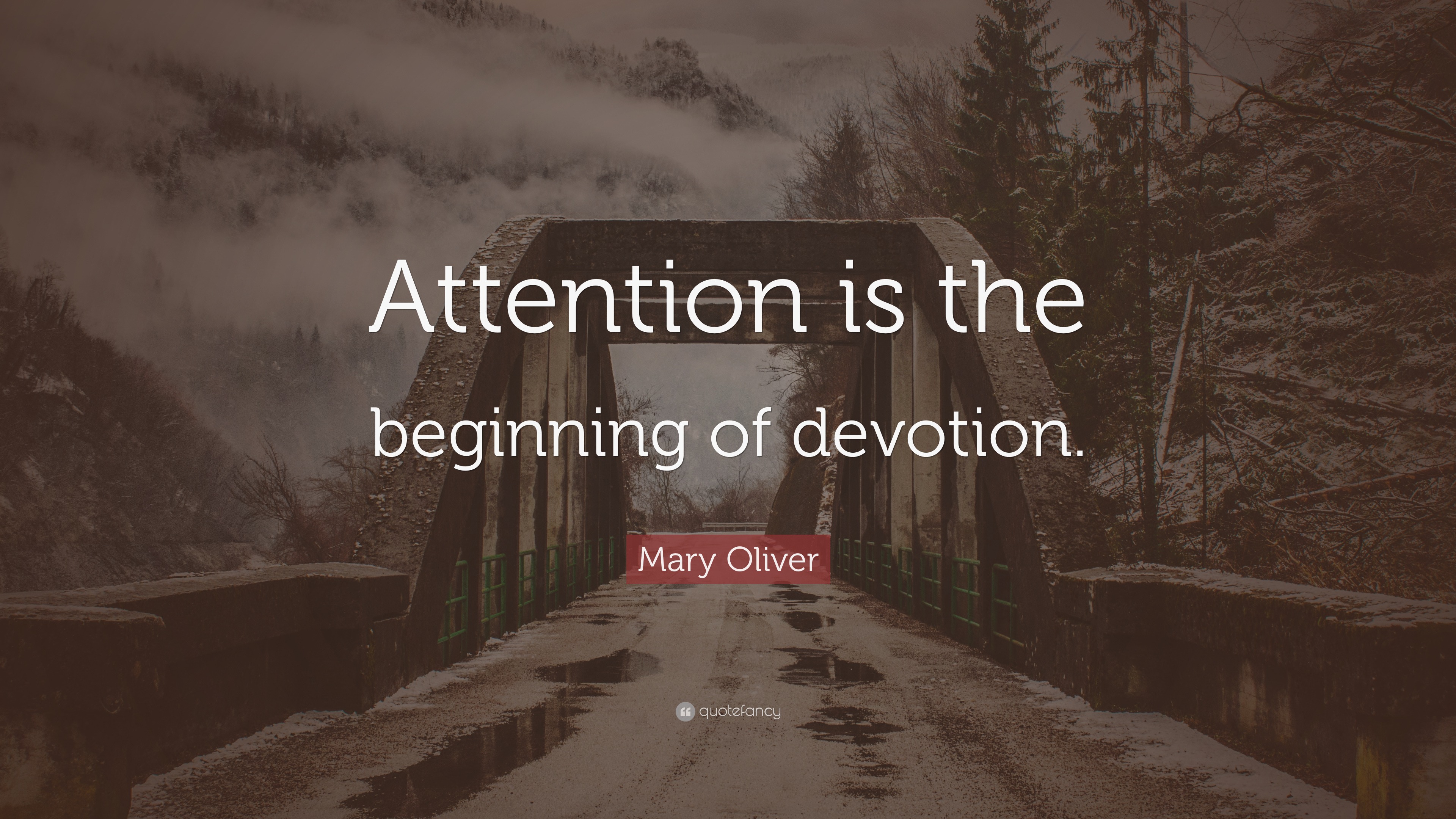 Mary Oliver Quote: “Attention is the beginning of devotion.”