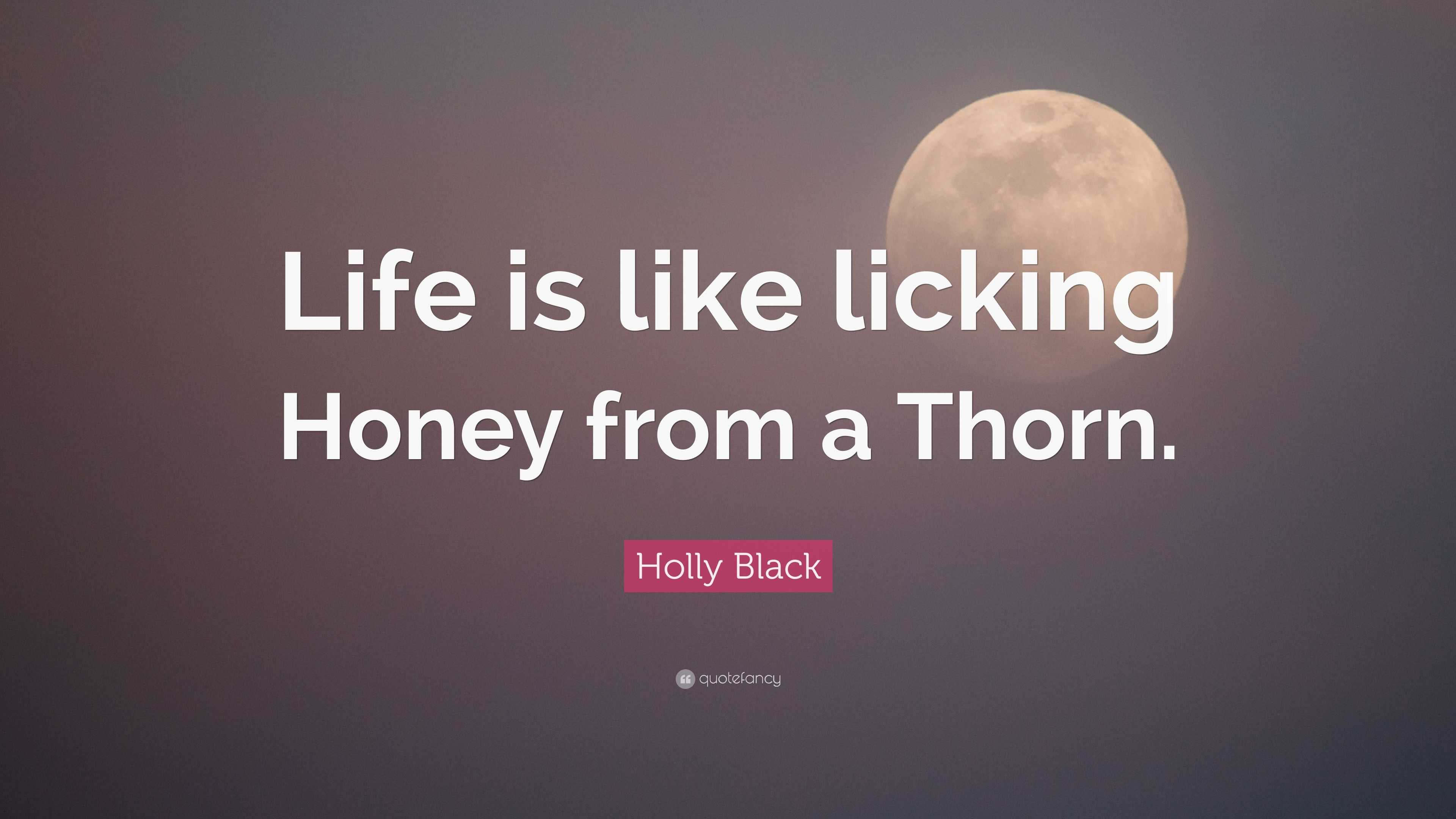 Holly Black Quote “Life is like licking Honey from a Thorn ”