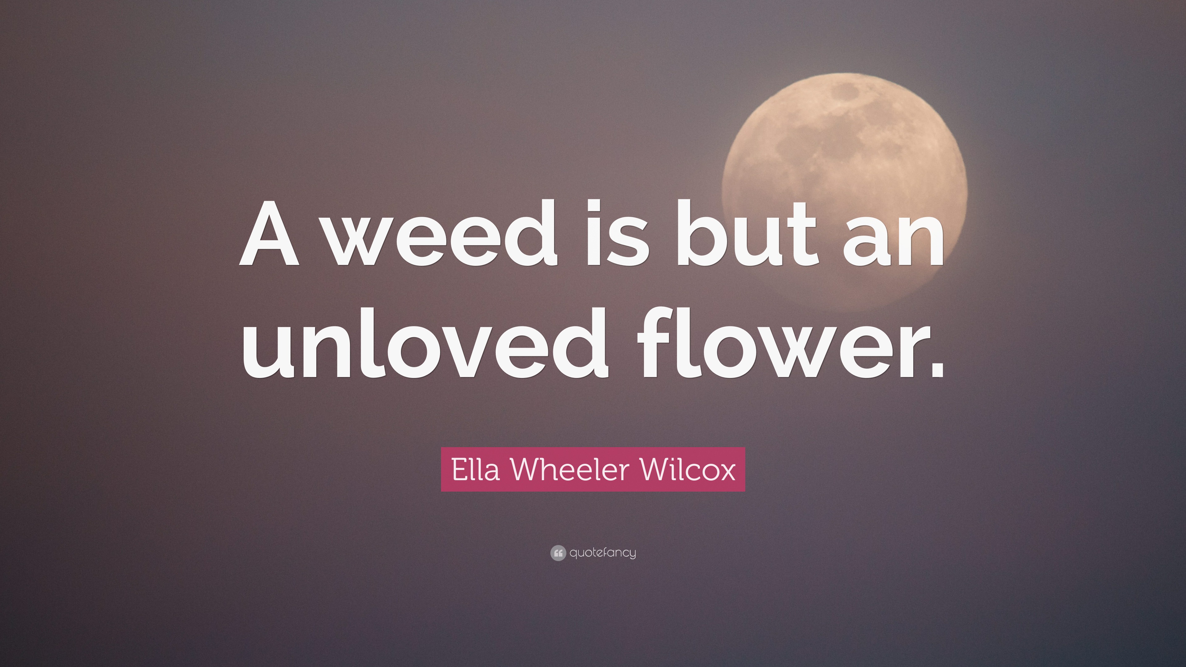 Ella Wheeler Wilcox Quote “A weed is but an unloved flower.”